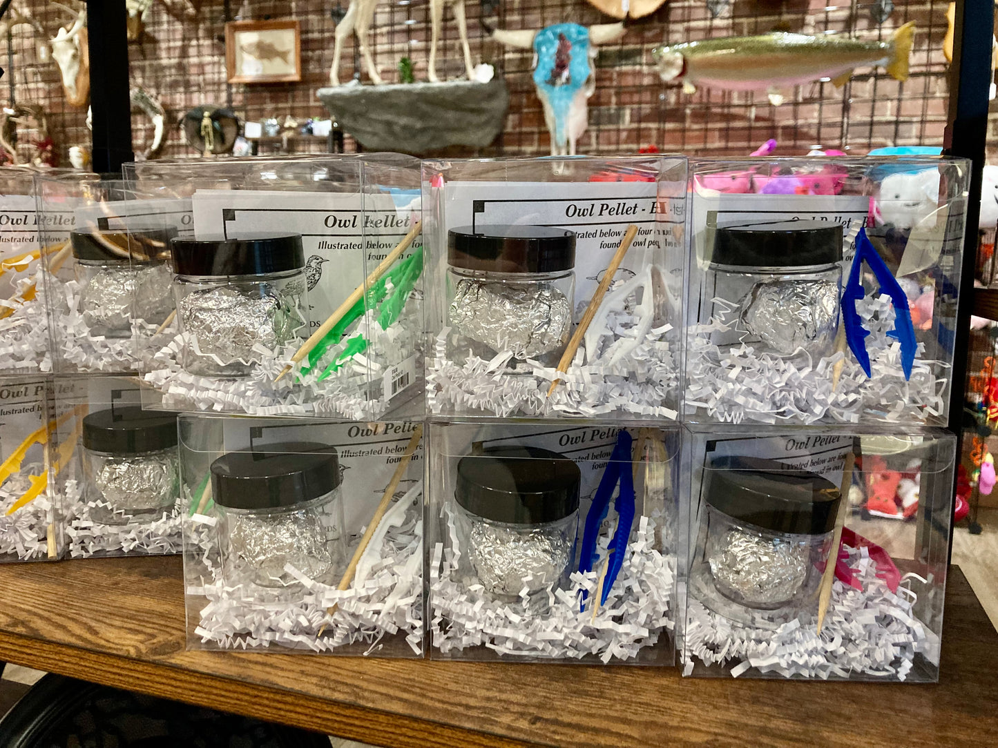 Owl Pellet Dissection Kit