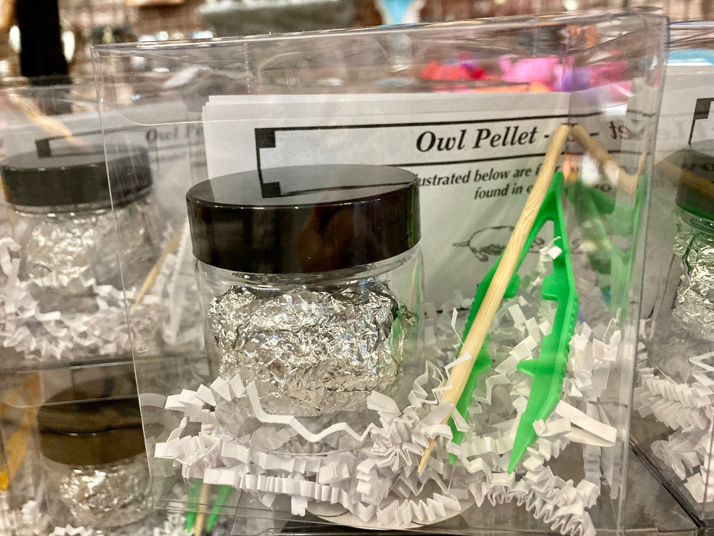 Owl Pellet Dissection Kit