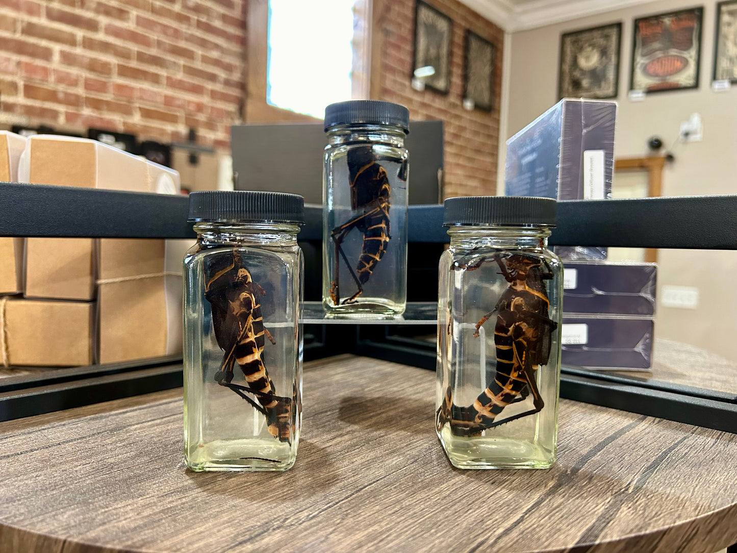Grasshopper Jar