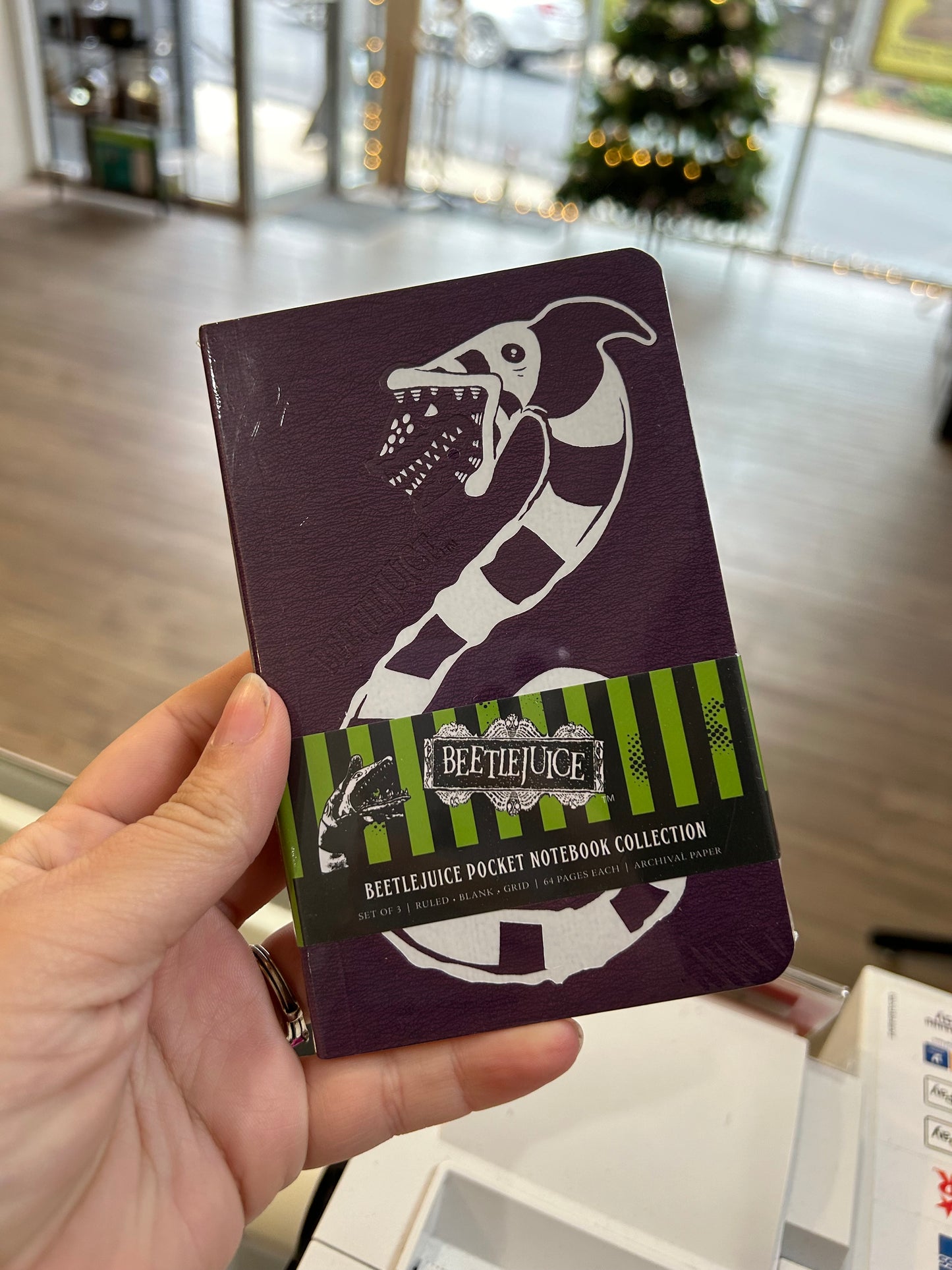 Beetlejuice Pocket Notebook Set