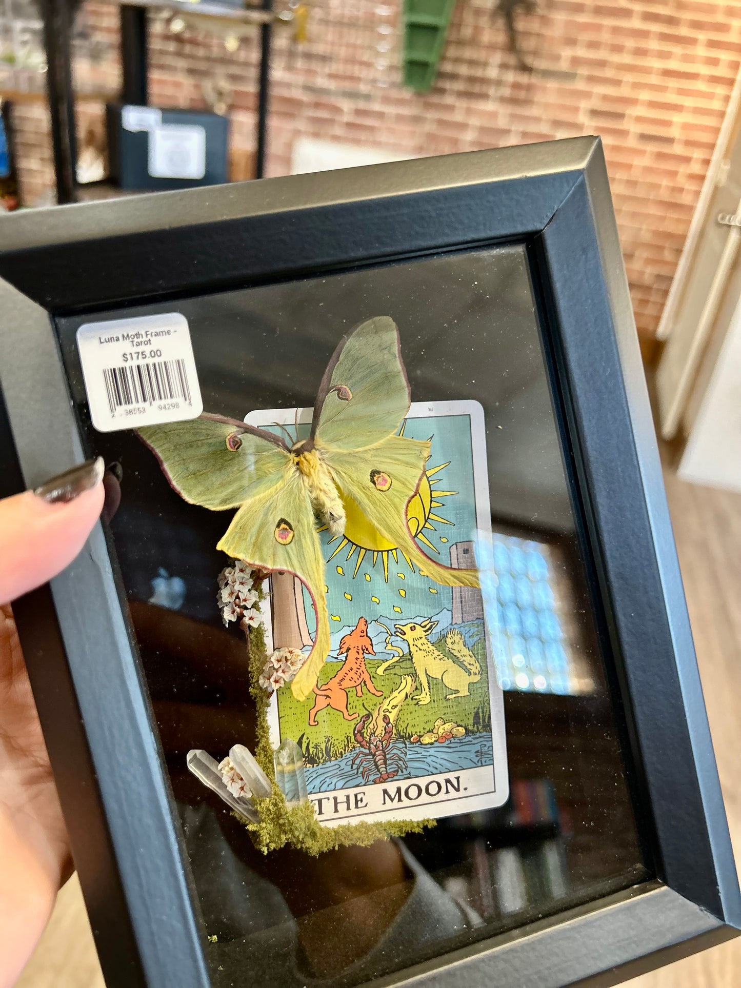 Luna Moth Tarot Card Frame