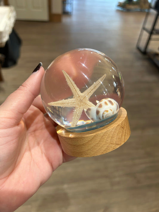 Resin Starfish Globe
