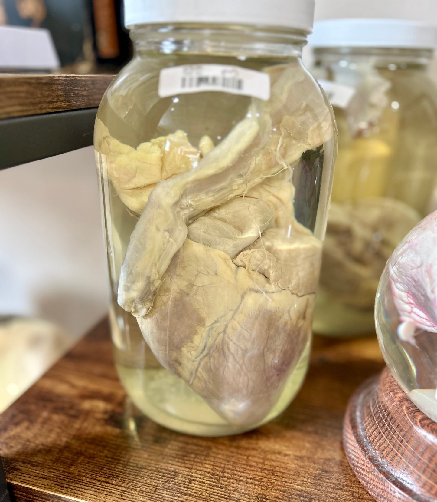 Pig Heart Jar