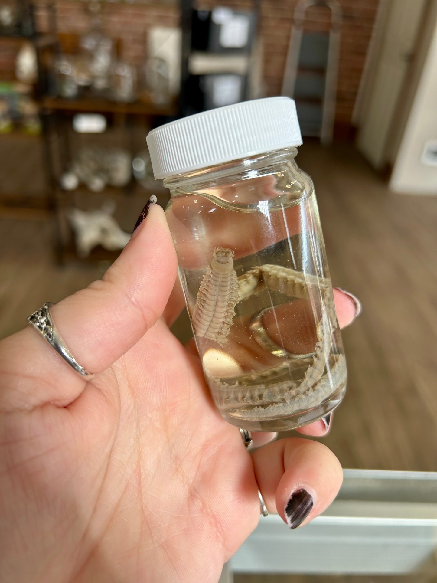 Sandworm Jar