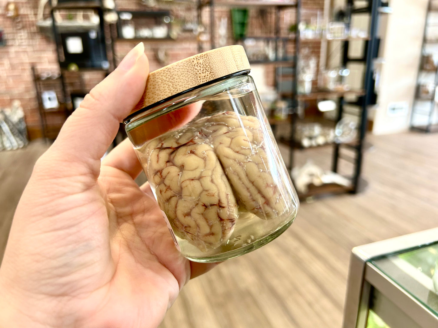 Sheep Brain Jar