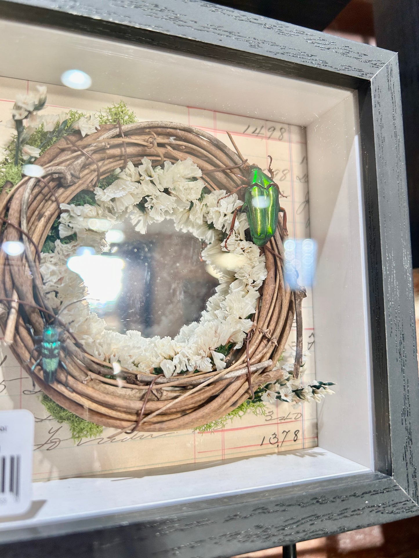 Beetle Wreath with Mirror