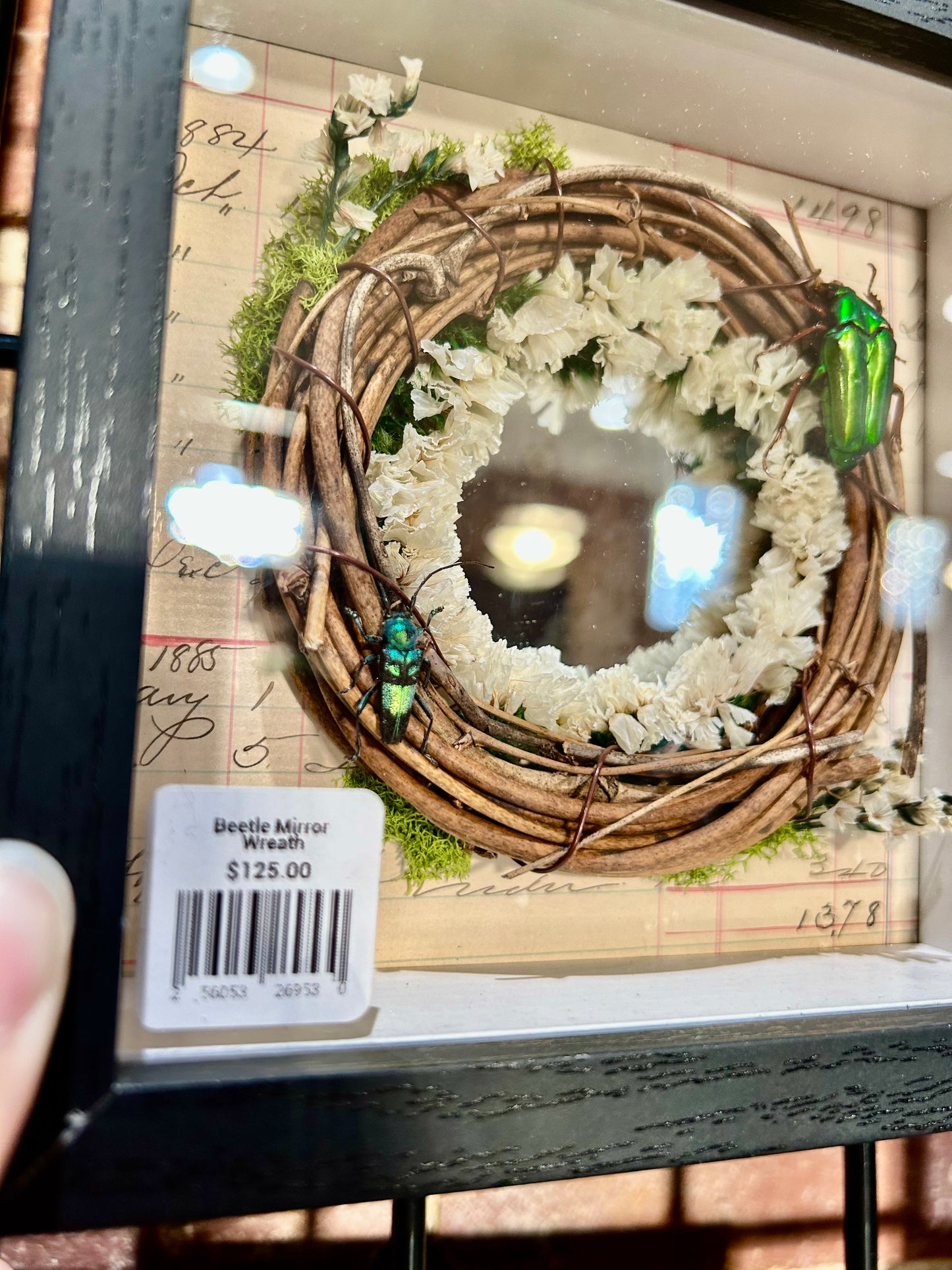 Beetle Wreath with Mirror