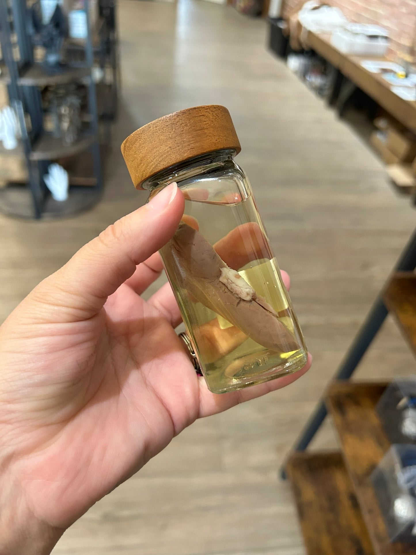 Bisected Sheep Kidney