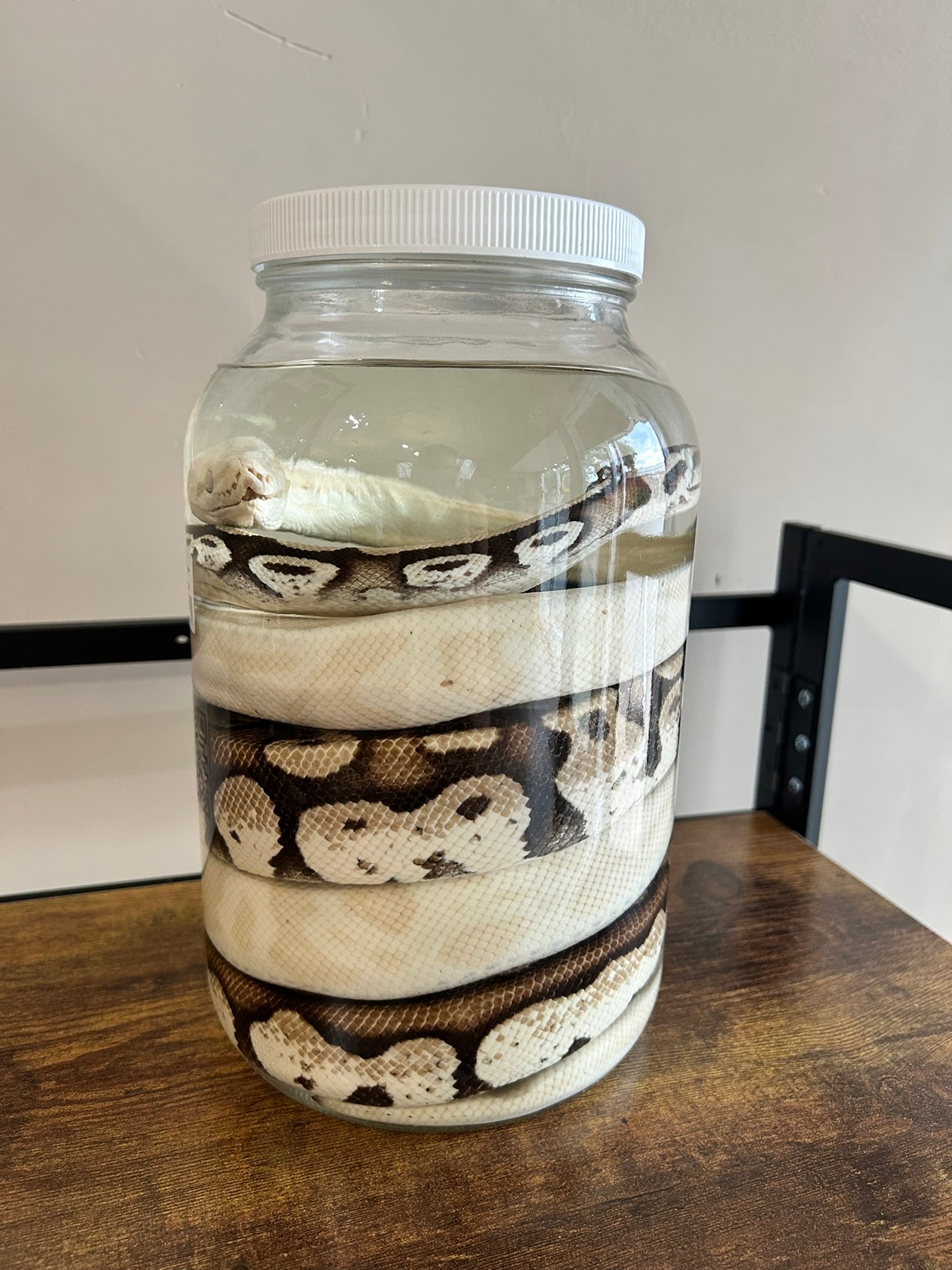 Double Snake Jar