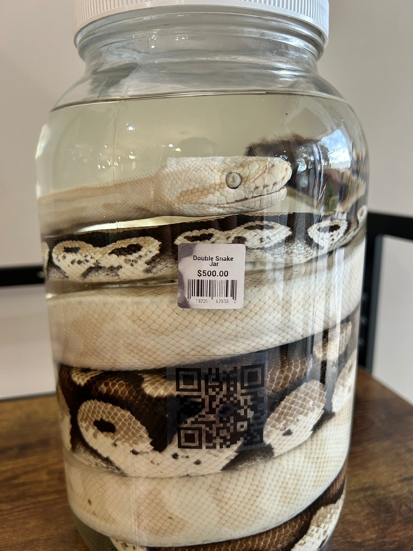 Double Snake Jar