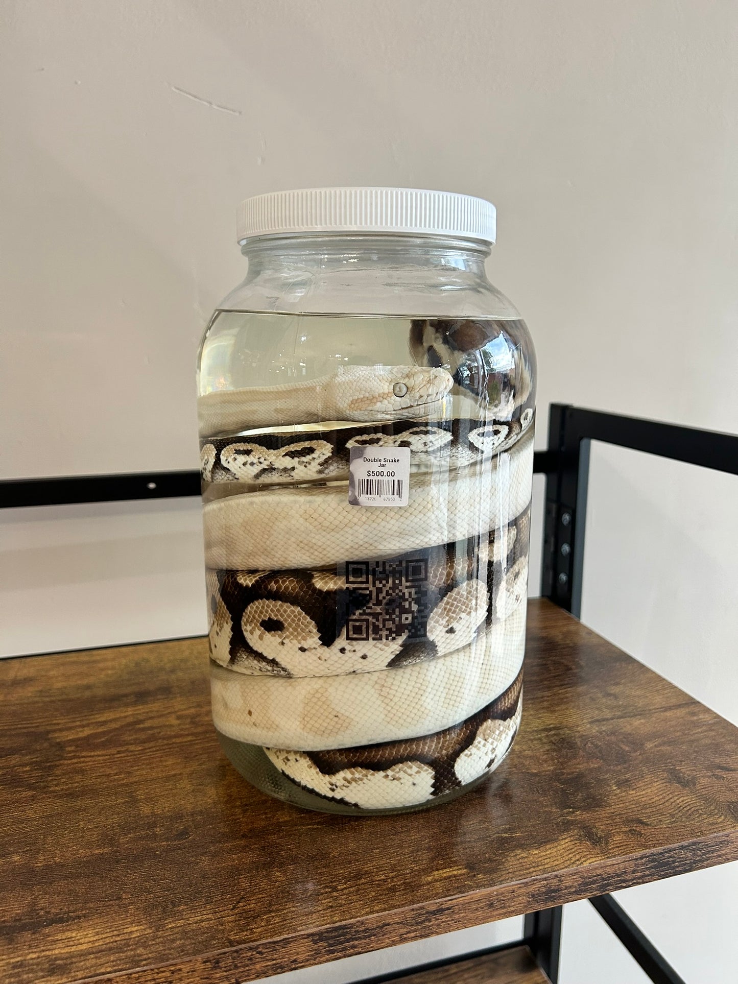Double Snake Jar