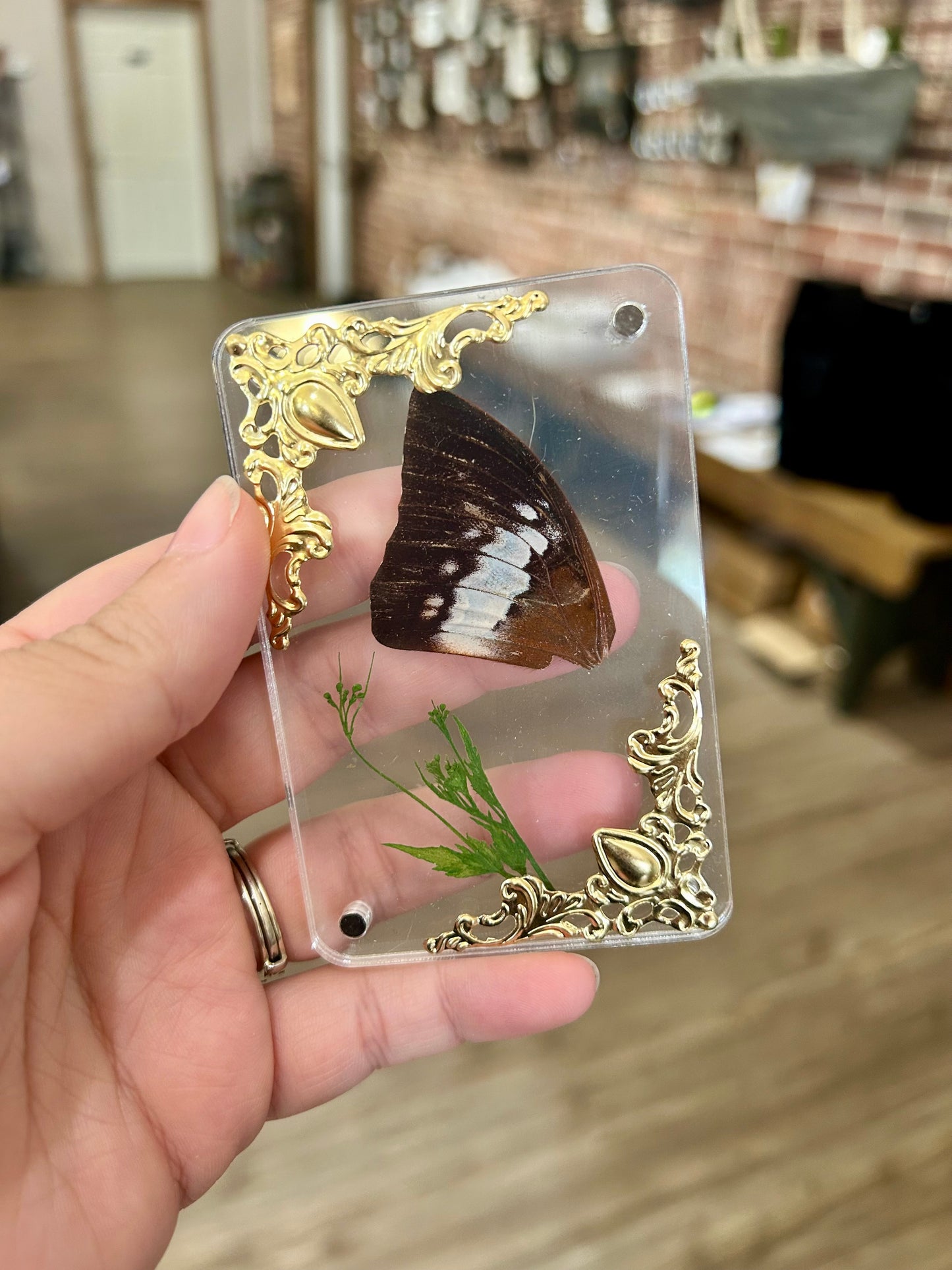 Butterfly Wing Magnet
