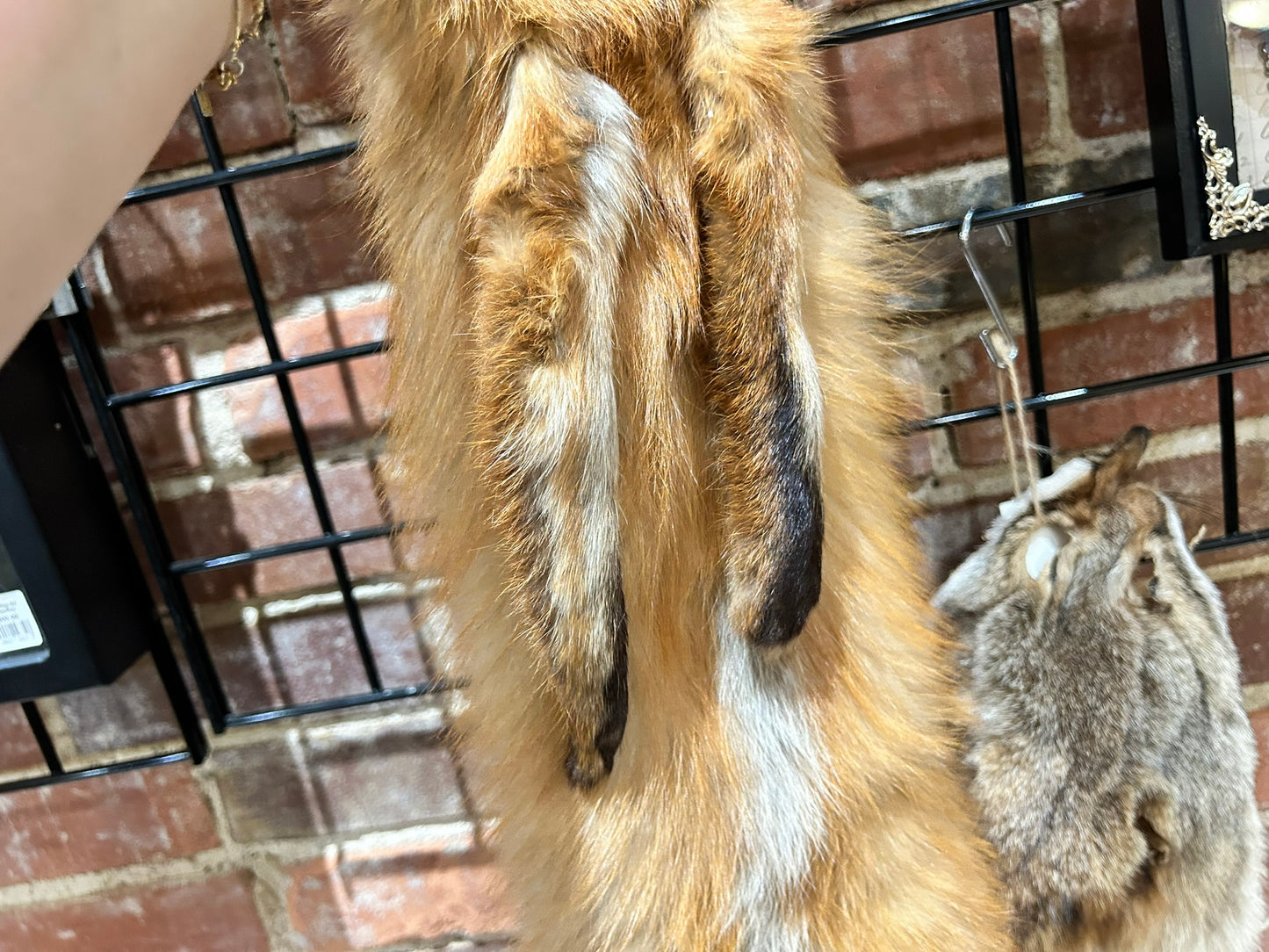 Fox Pelt