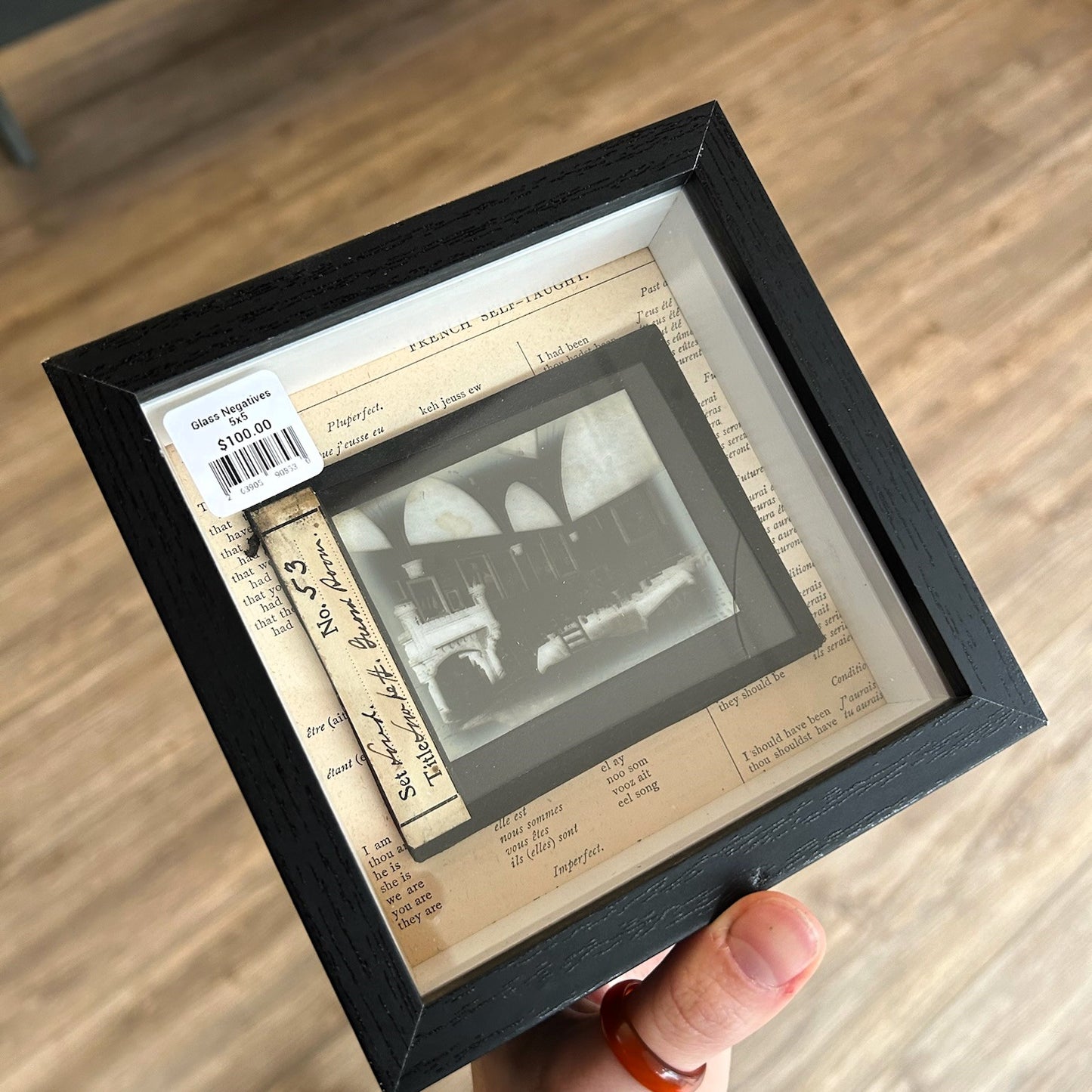 Antique Glass Negatives