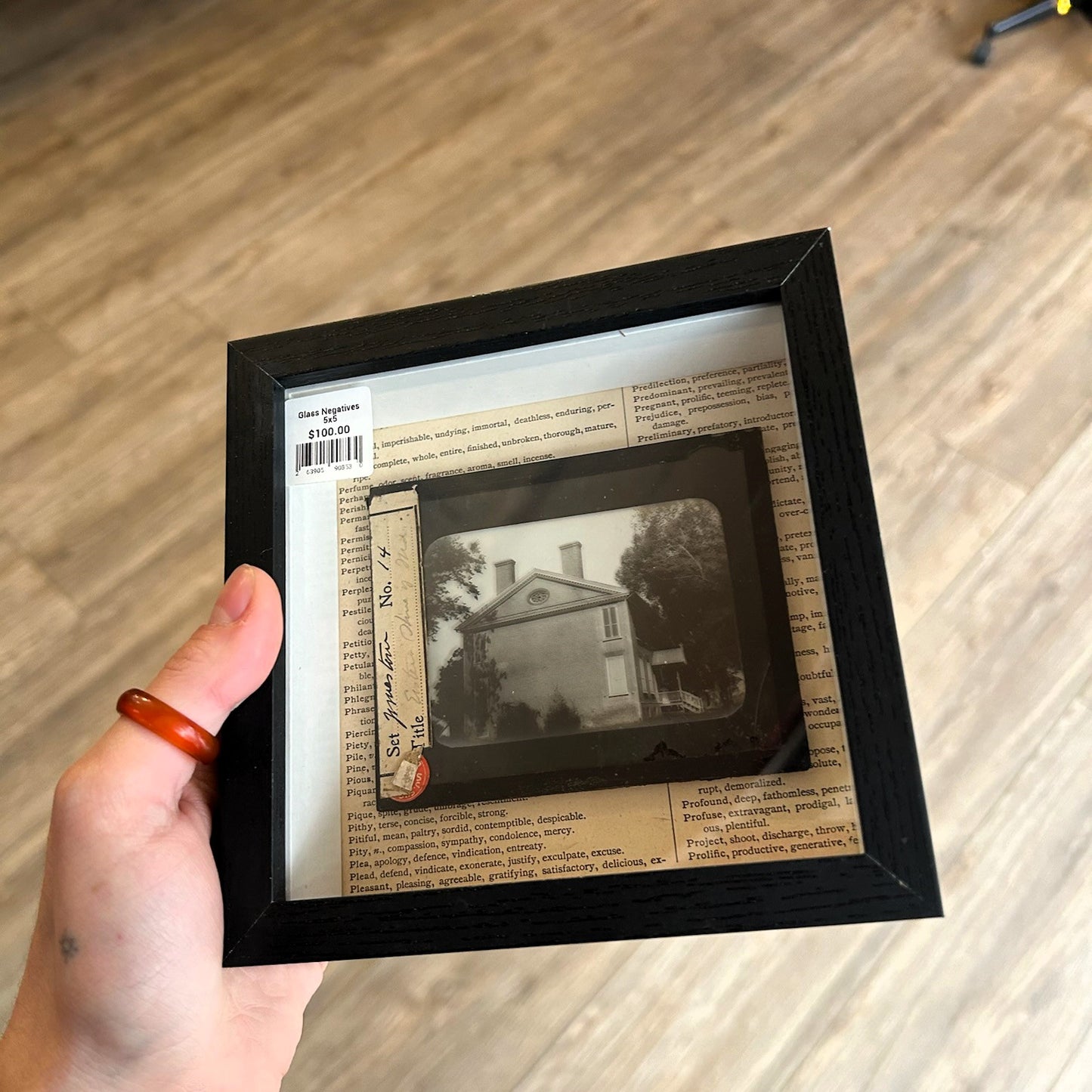 Antique Glass Negatives