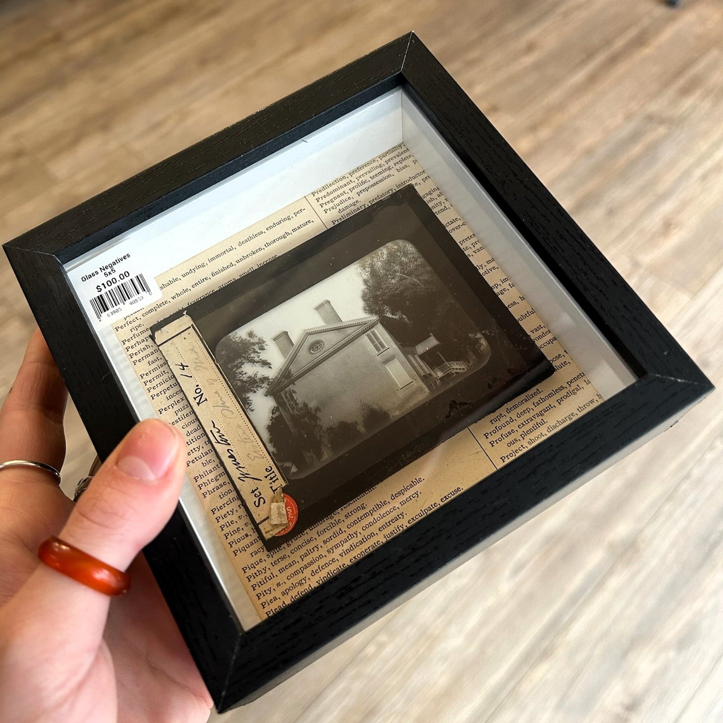 Antique Glass Negatives
