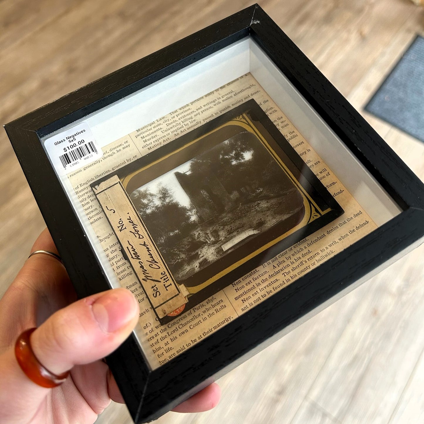 Antique Glass Negatives
