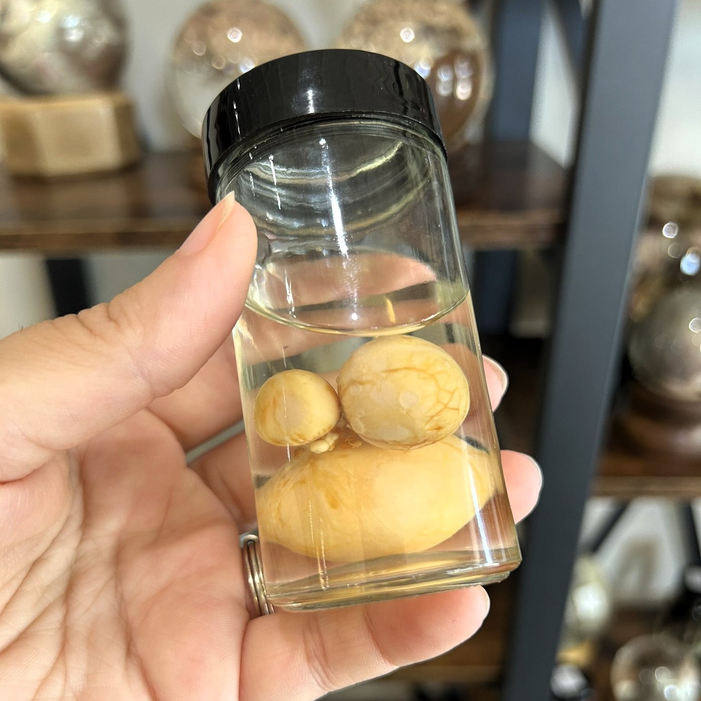 Chicken Egg - Deformity