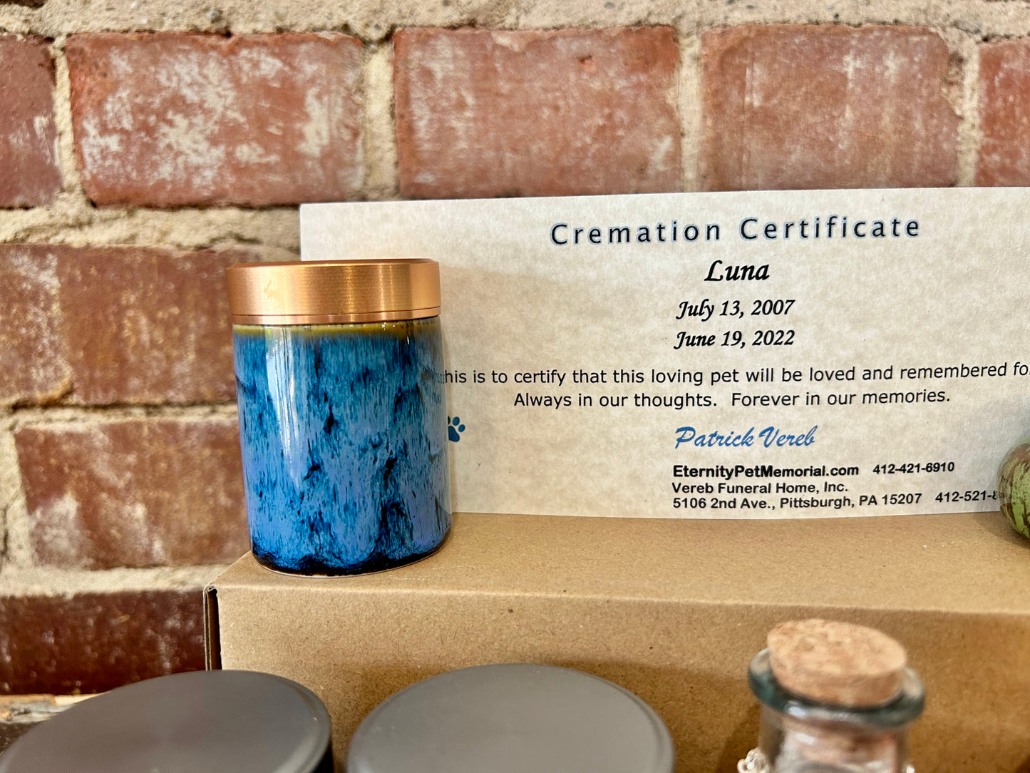 Luna - Adopt an Urn