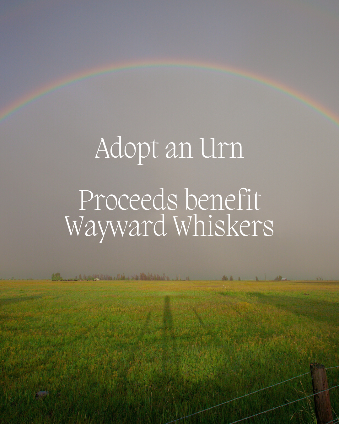 Adopt an Urn Fundraiser