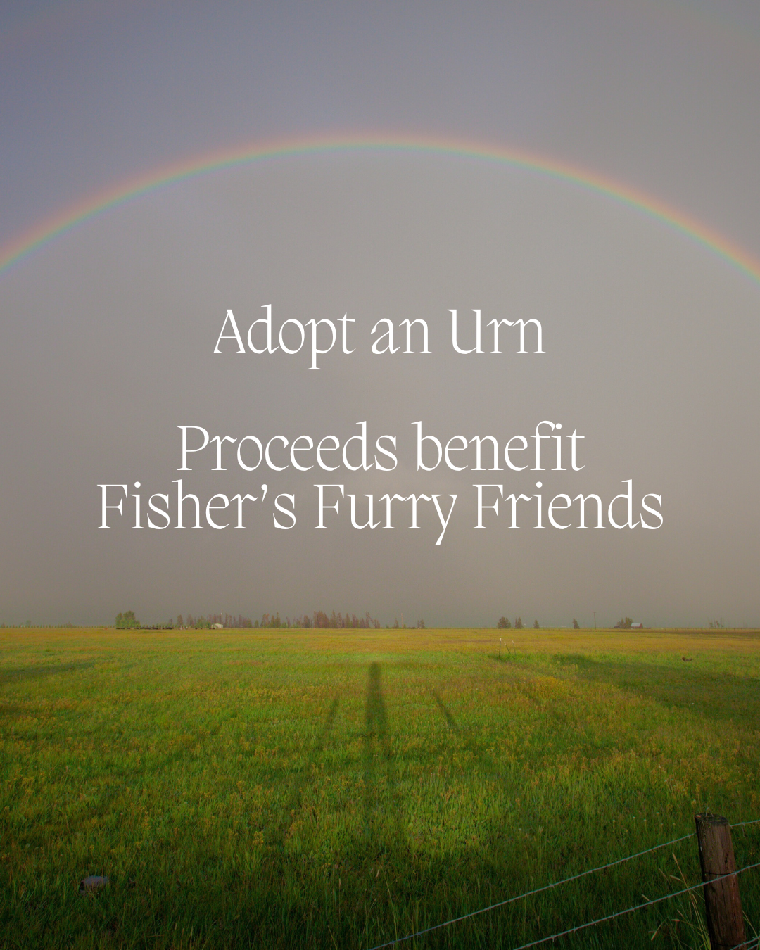 Adopt an Urn