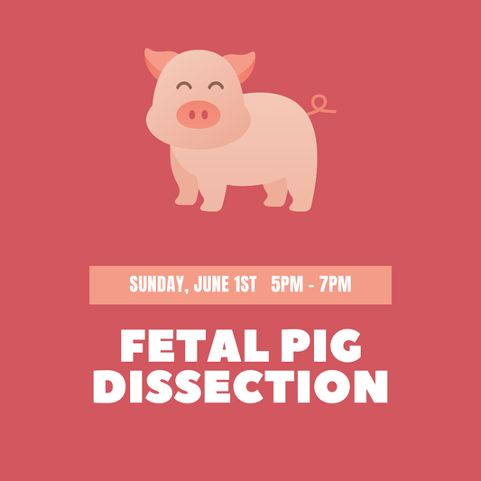 Fetal Pig Dissection Workshop