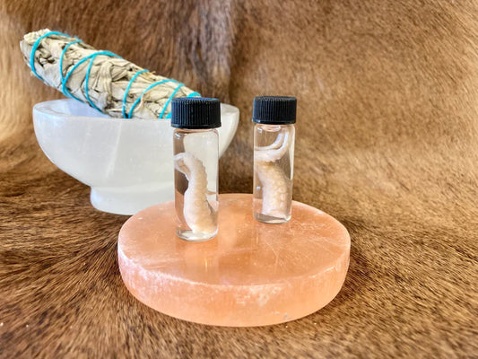 Octopus Tentacle Vials - WHOLESALE LISTING