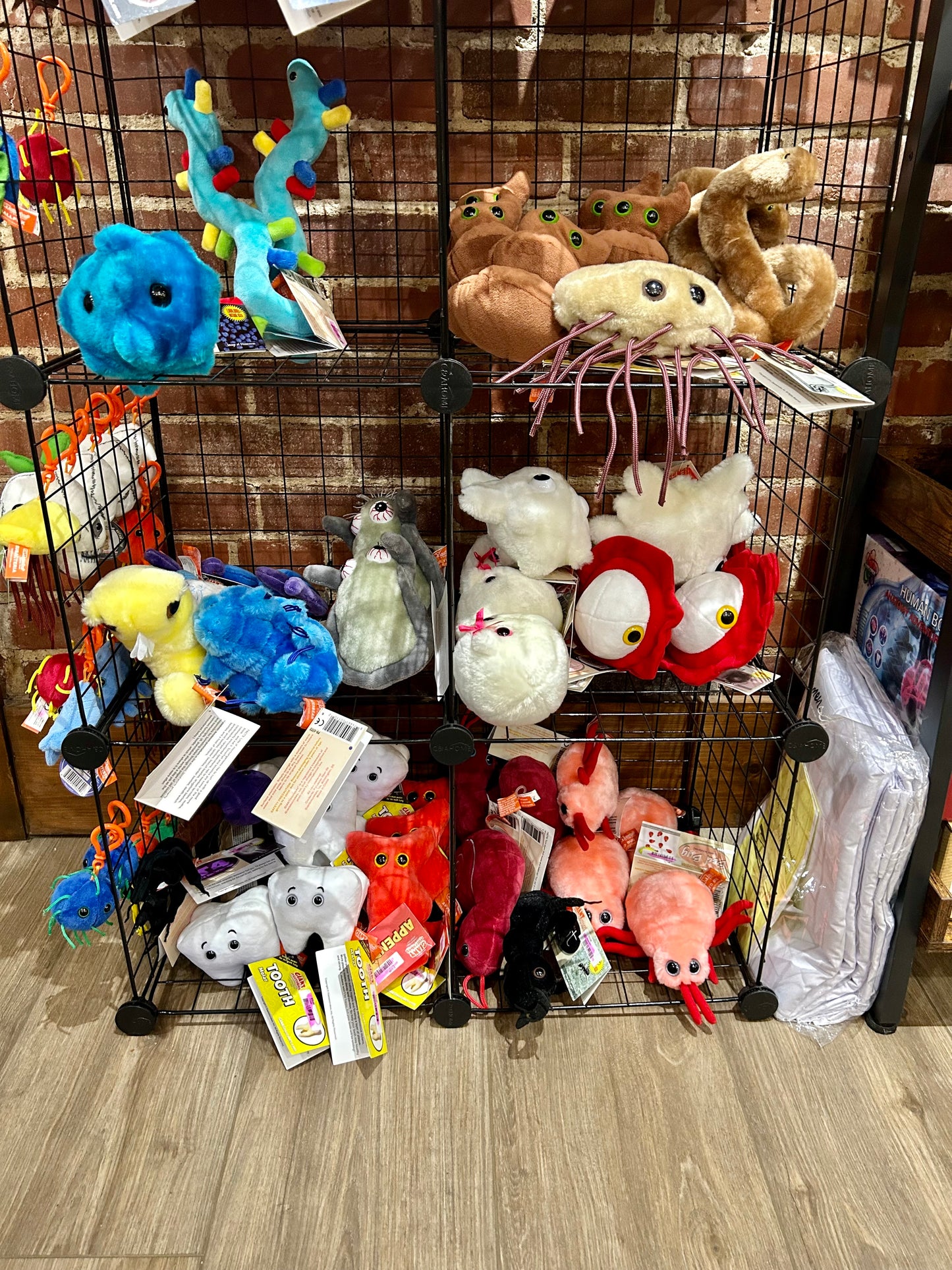 Mystery Plushies