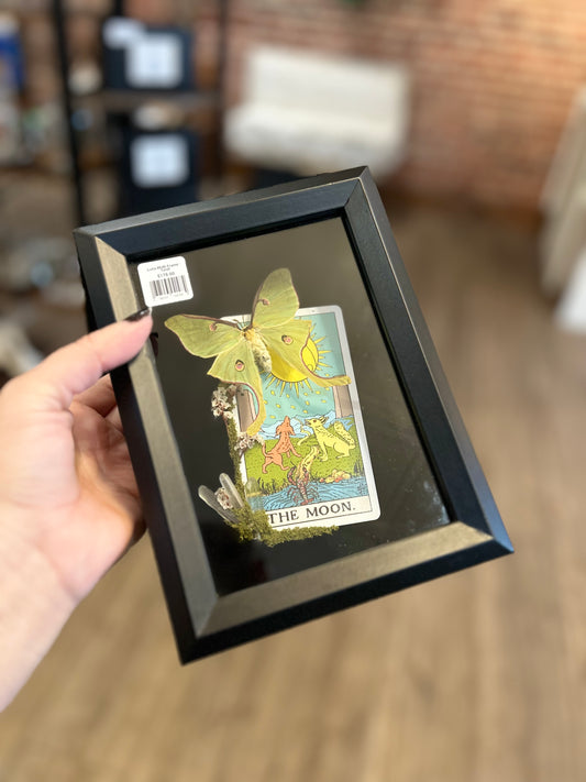 Luna Moth Tarot Card Frame