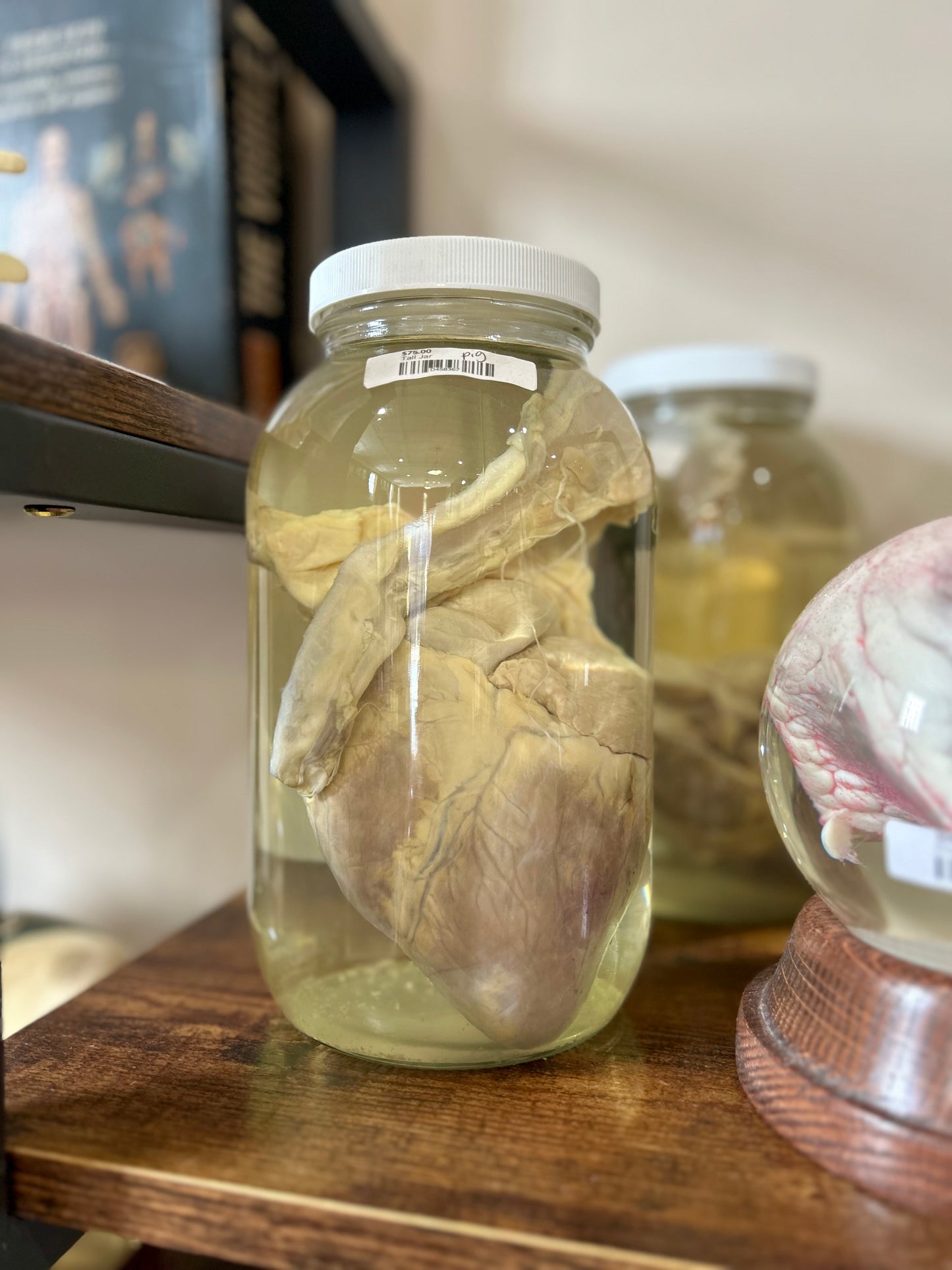 Pig Heart Jar