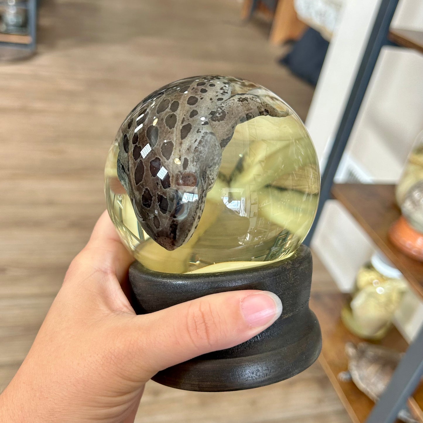 Frog Globe