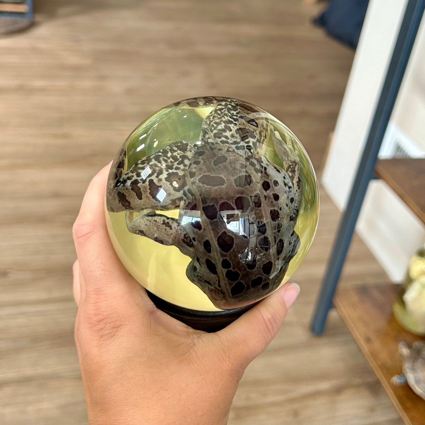 Frog Globe