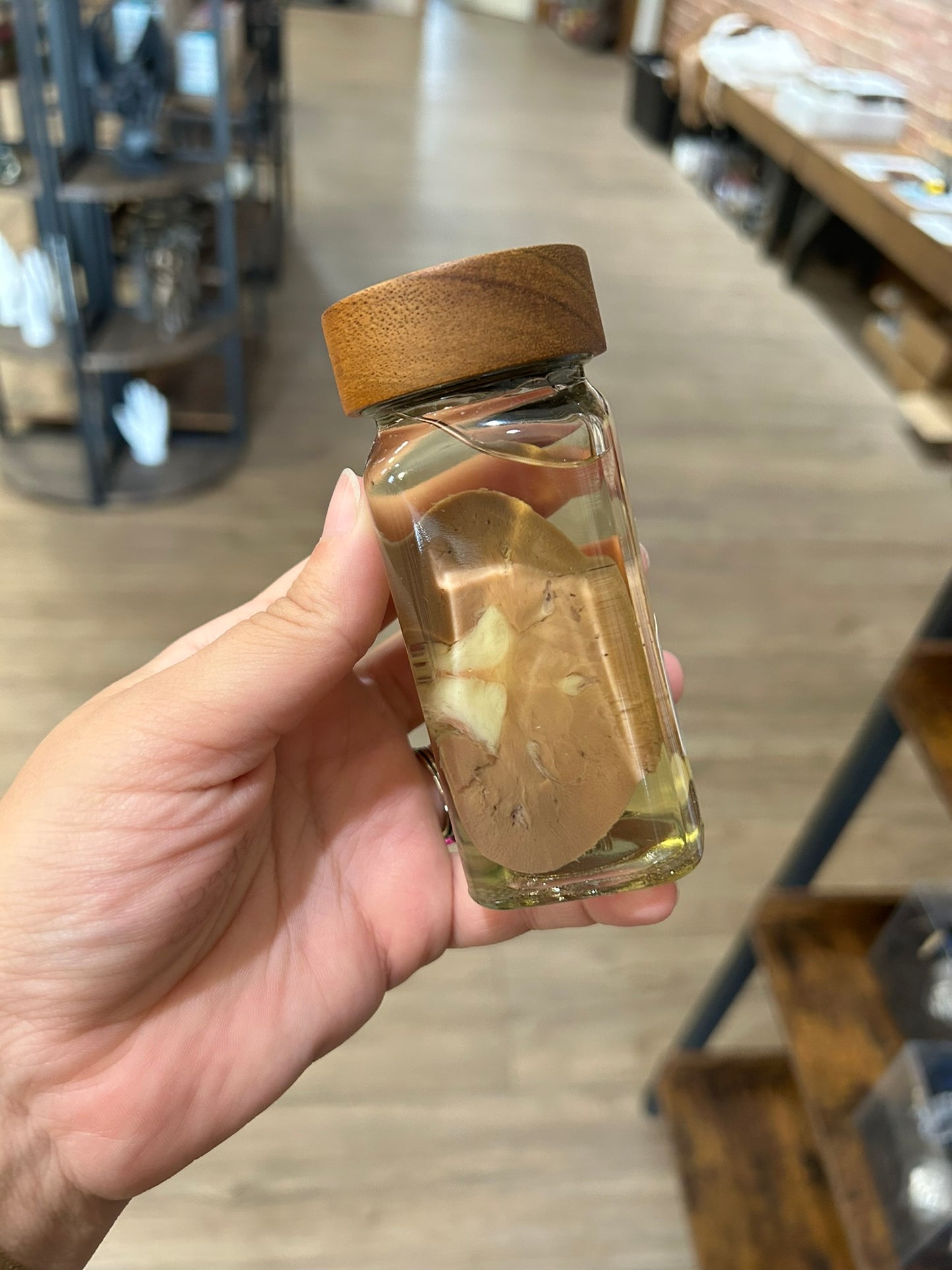 Bisected Sheep Kidney
