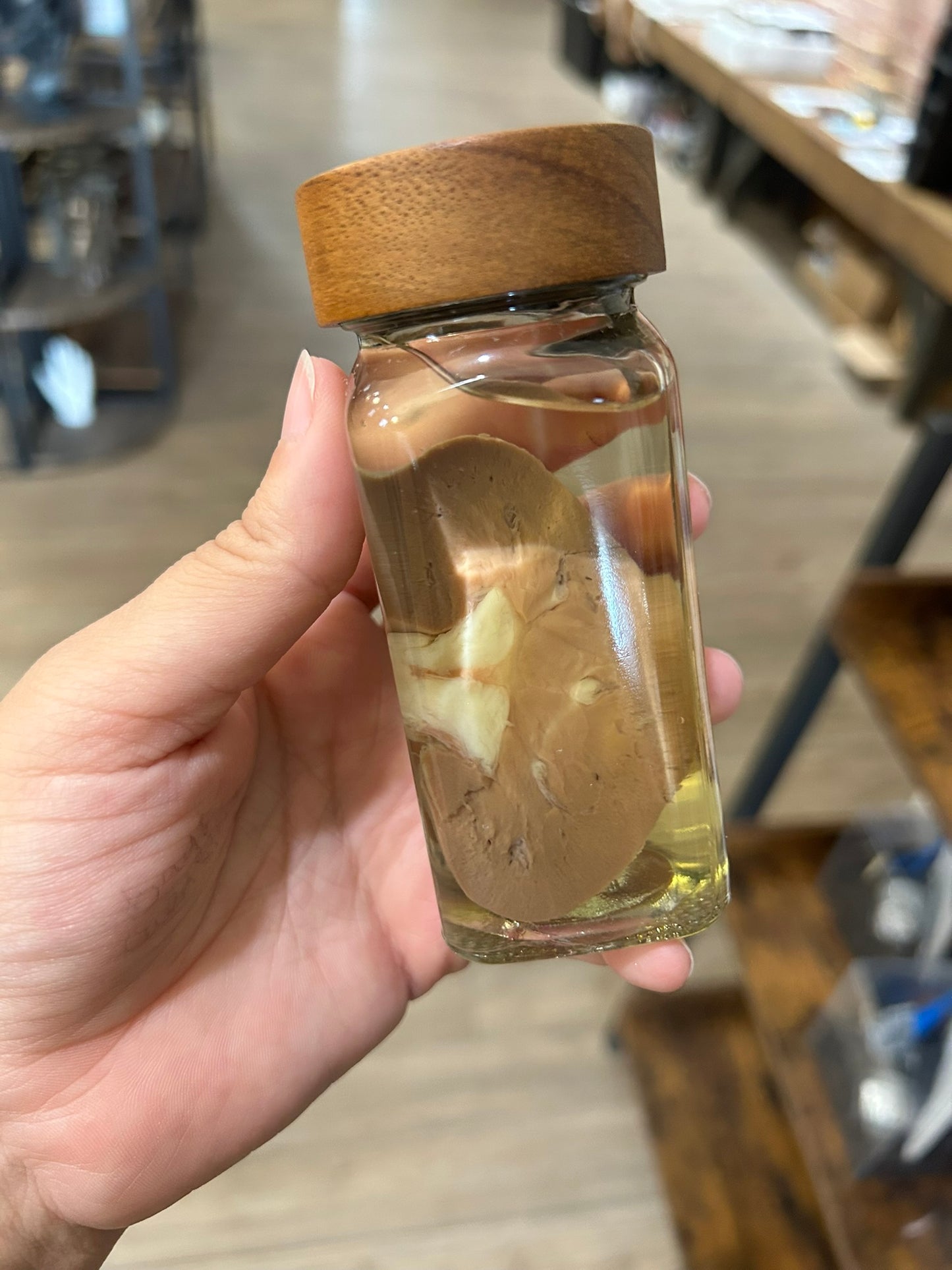 Bisected Sheep Kidney