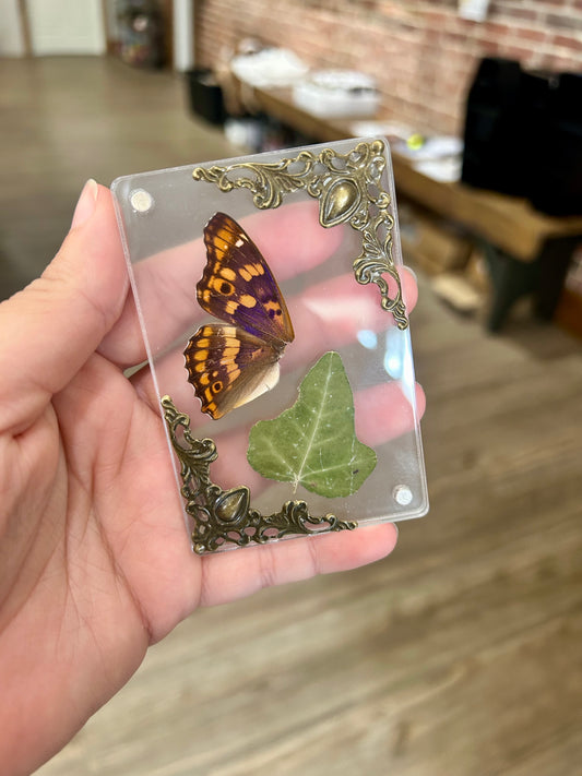 Butterfly Wing Magnet