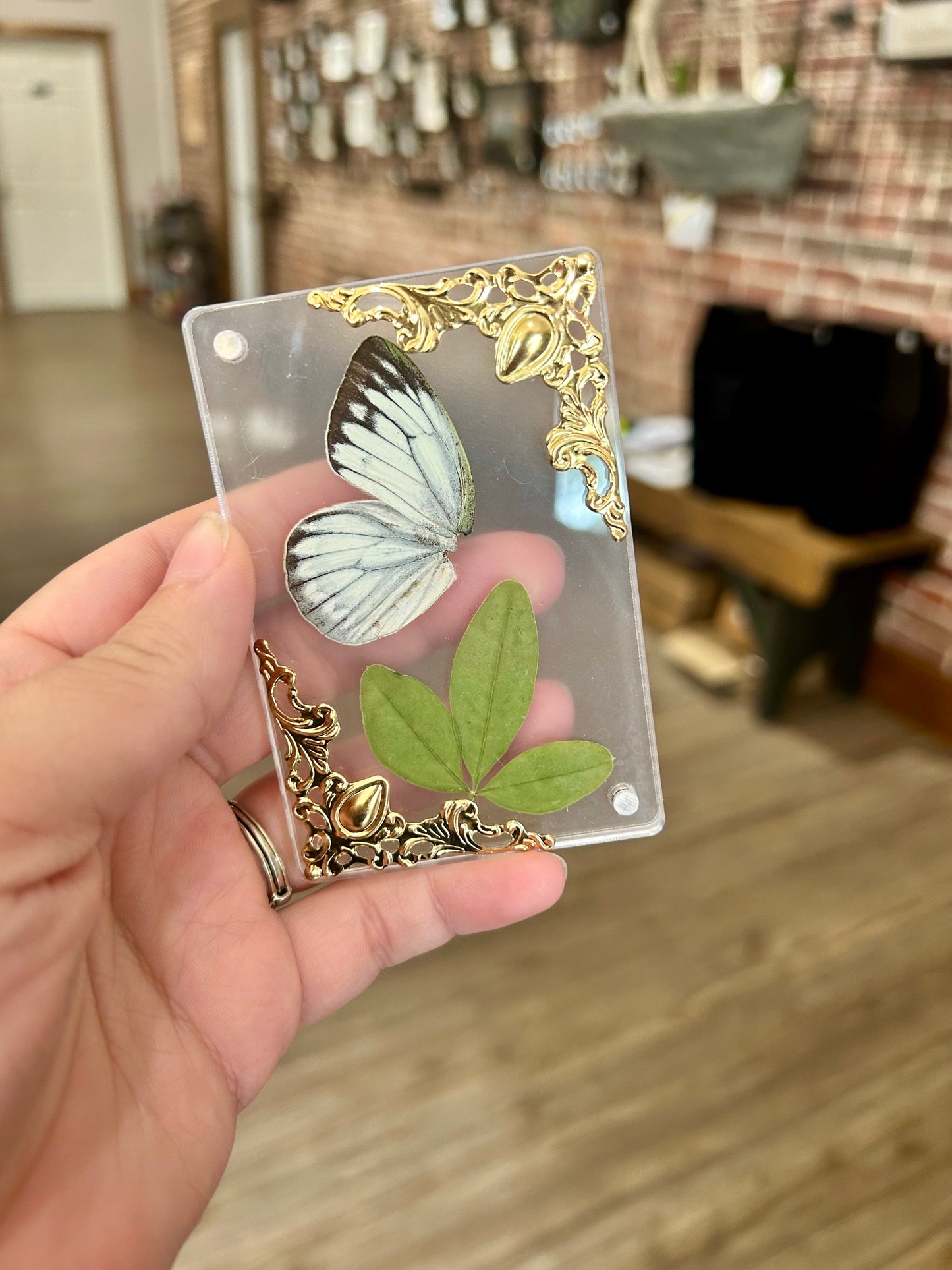 Butterfly Wing Magnet
