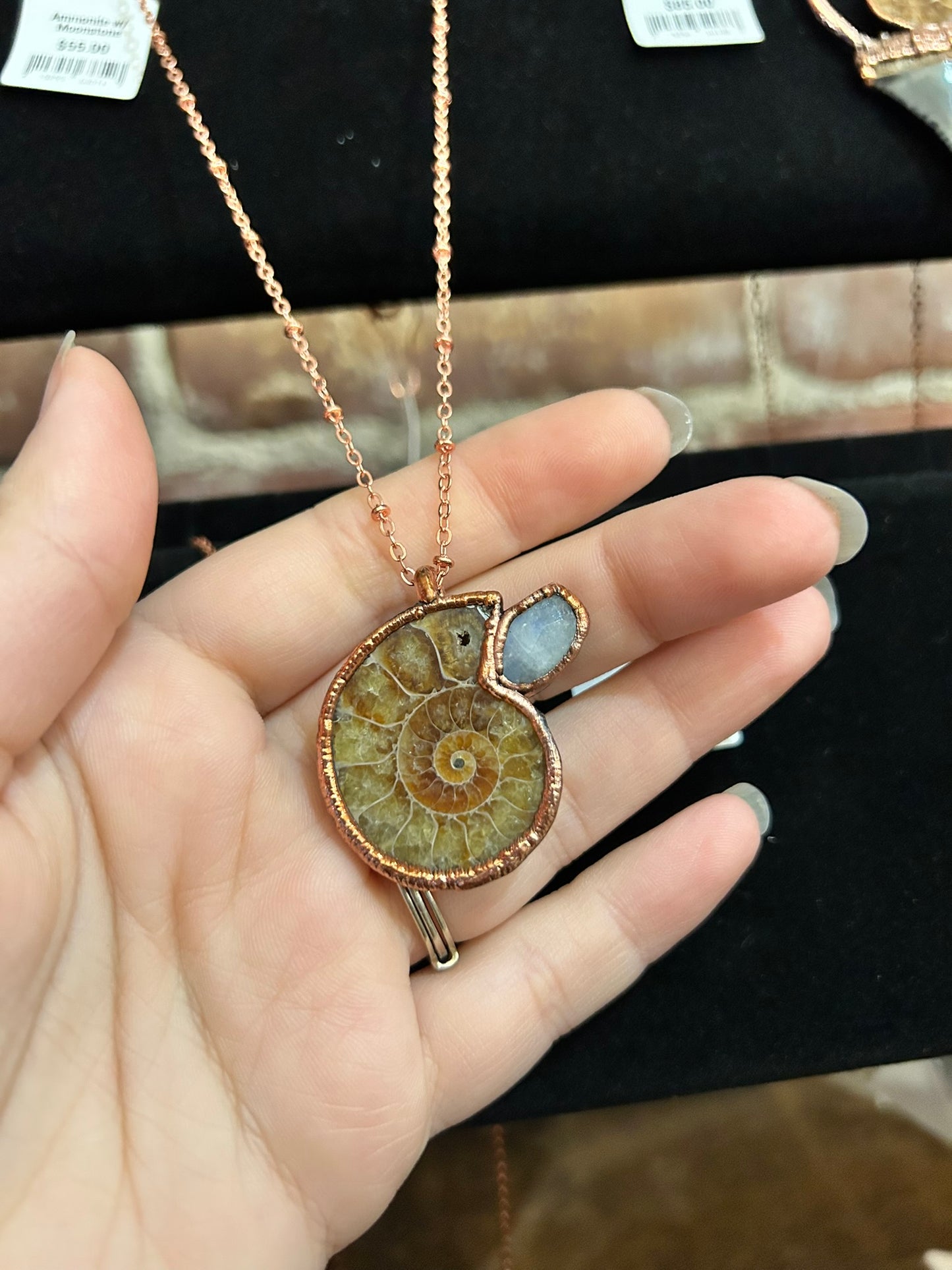 Ammonite Electroformed Necklaces