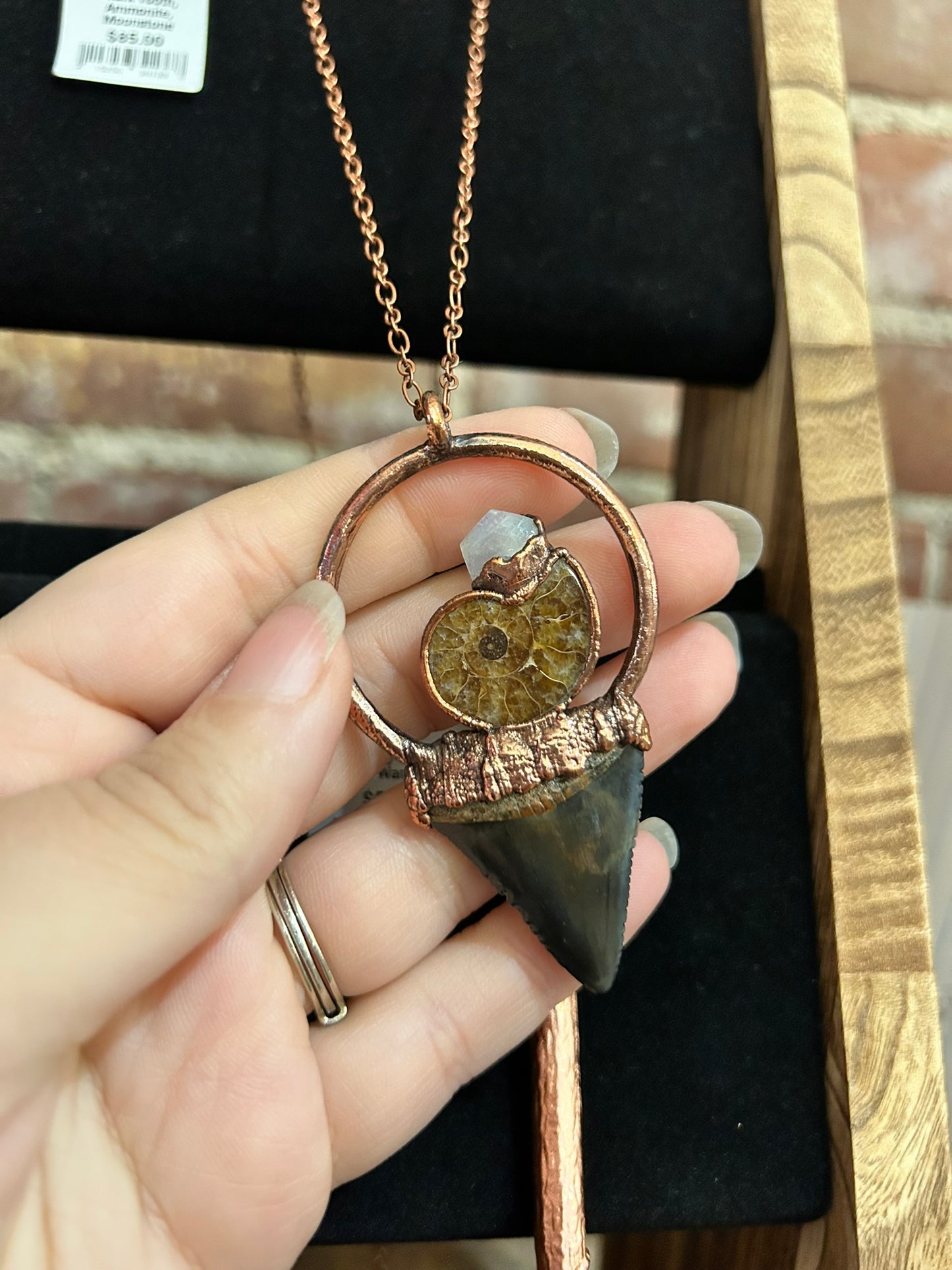 Ammonite Electroformed Necklaces