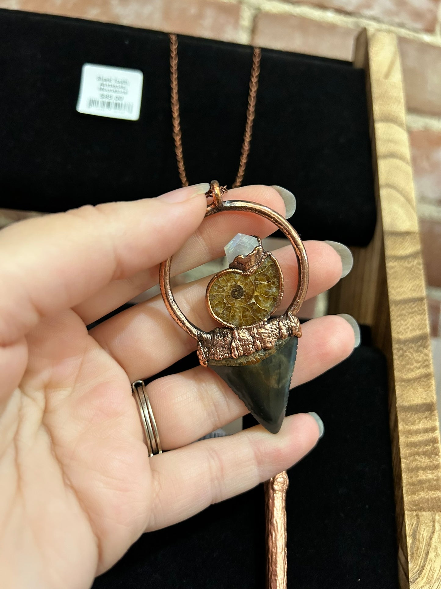 Ammonite Electroformed Necklaces