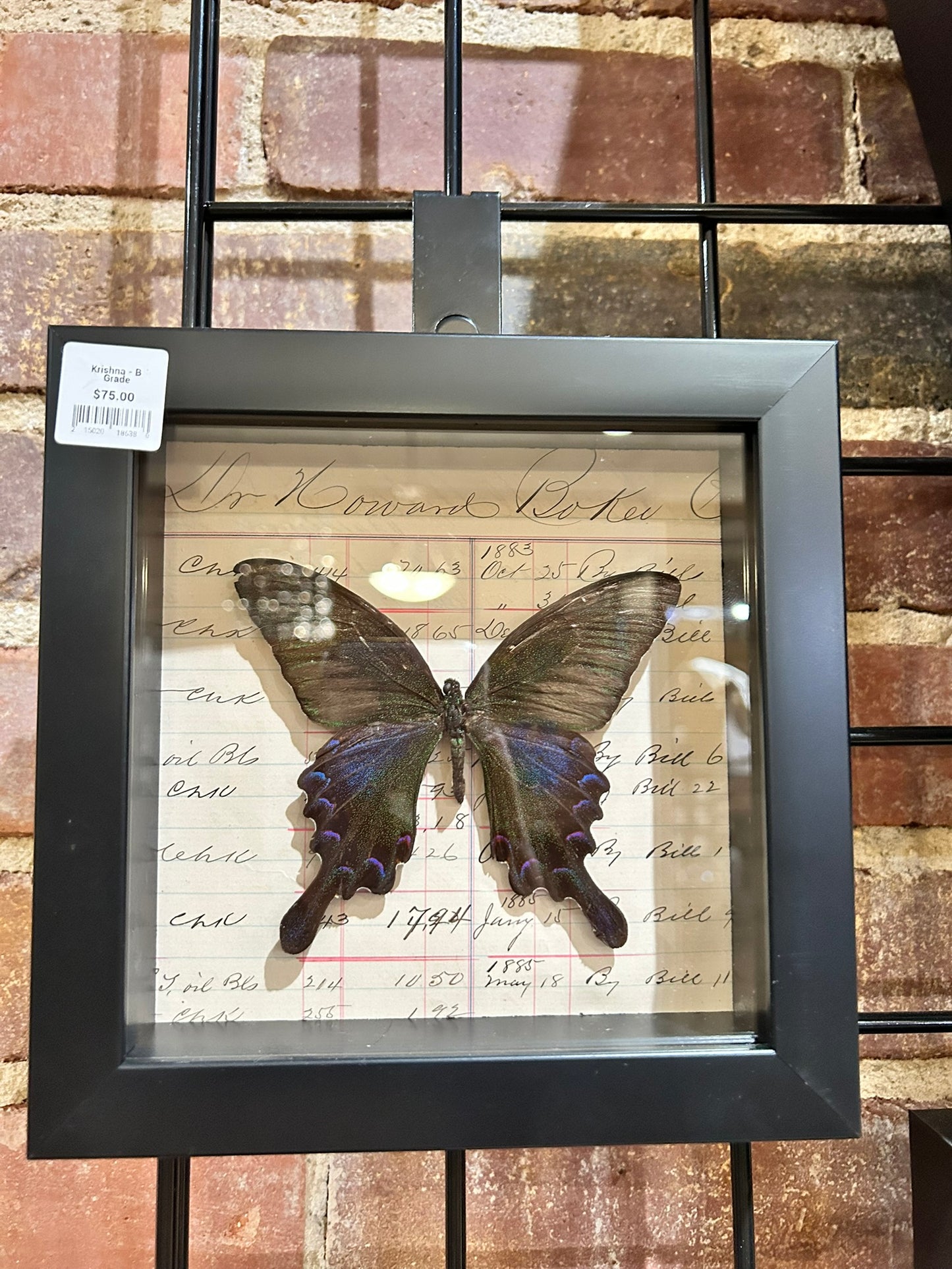 Krishna Frame - B Grade Specimen