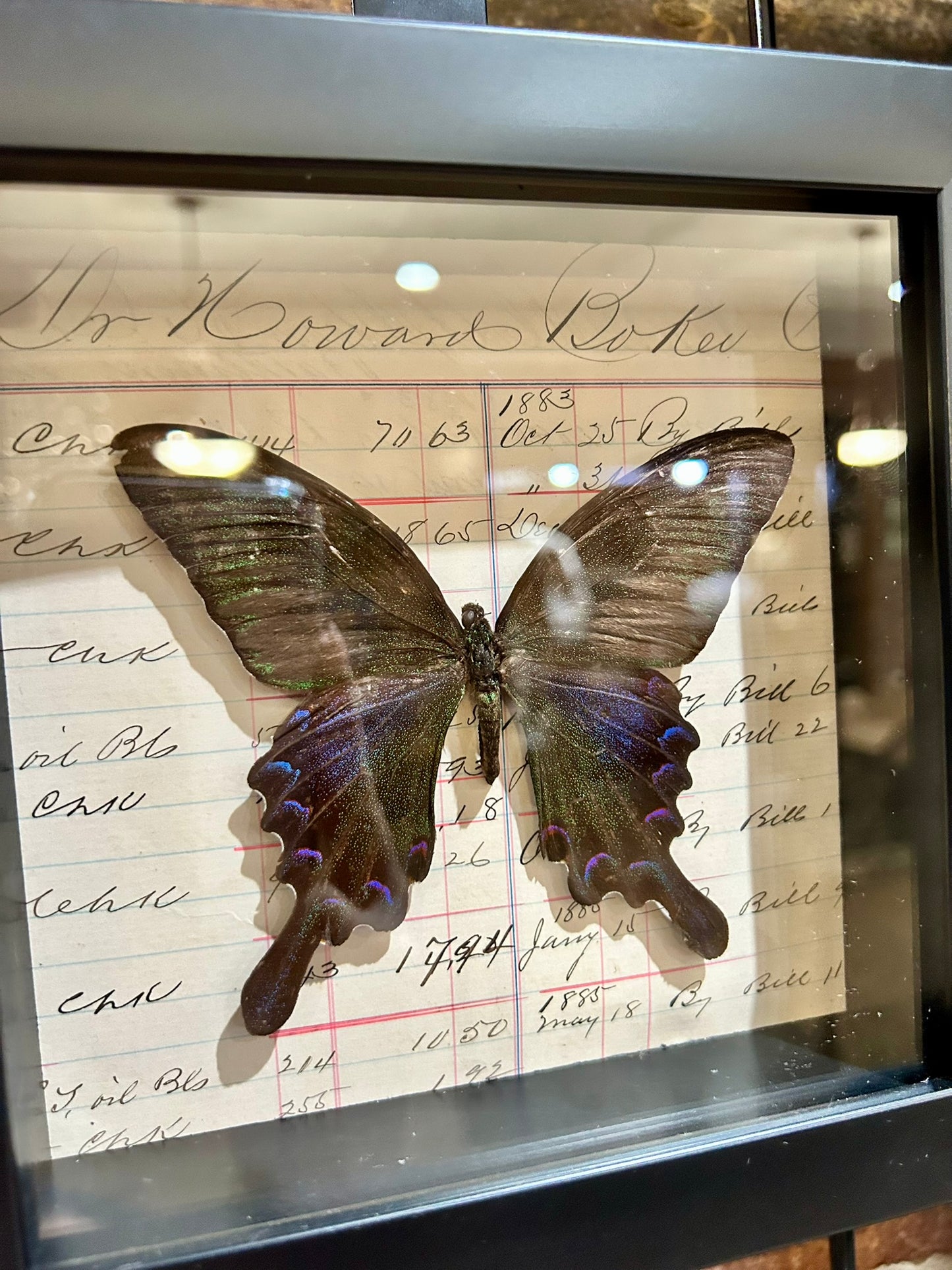 Krishna Frame - B Grade Specimen