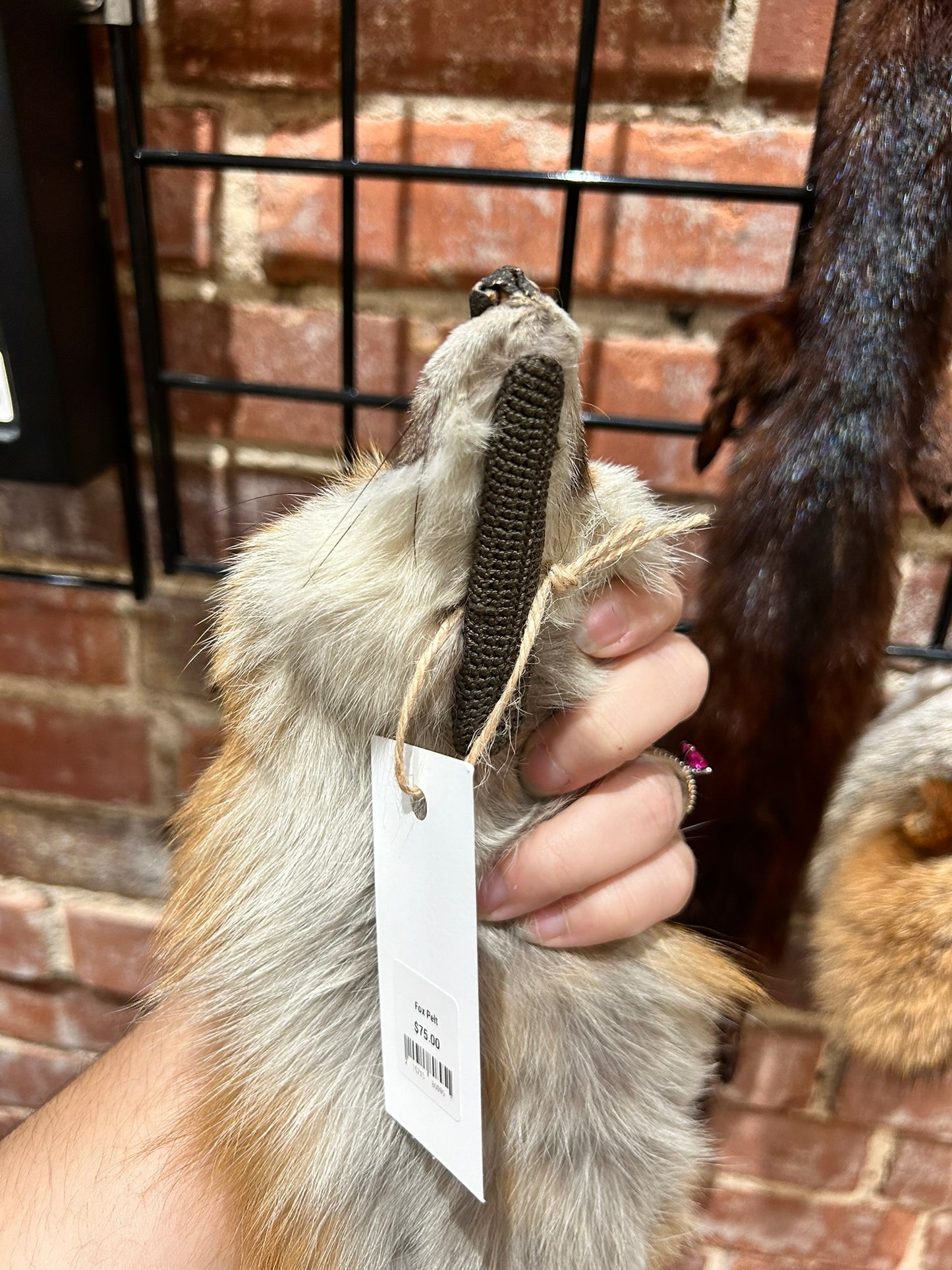 Fox Pelt