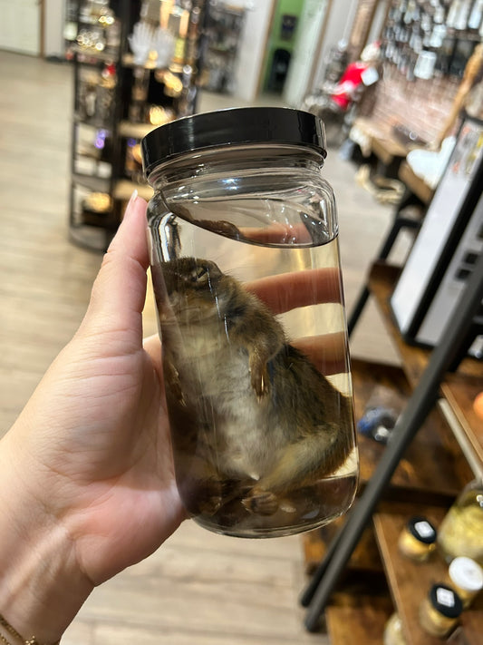 Chipmunk Jar