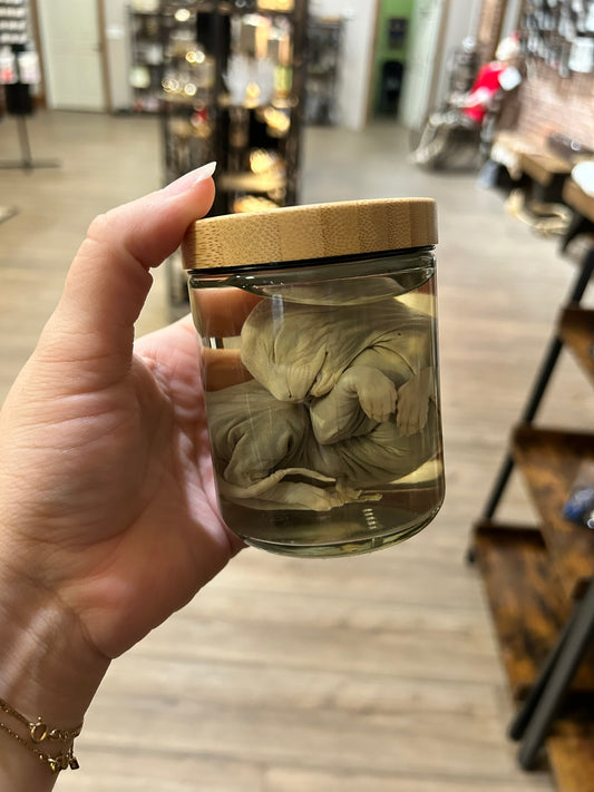 Sphynx Jar