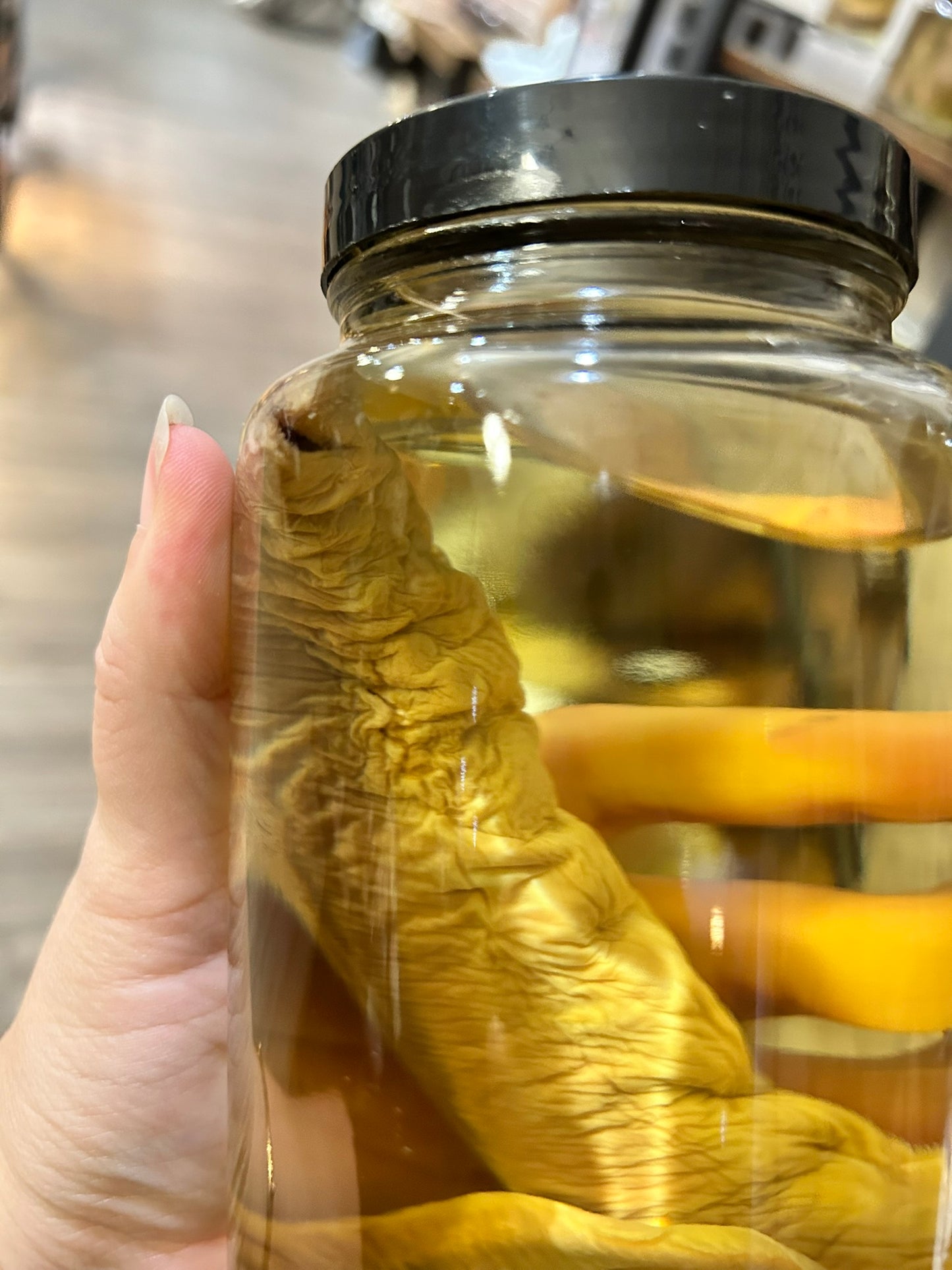 Lamprey Specimen