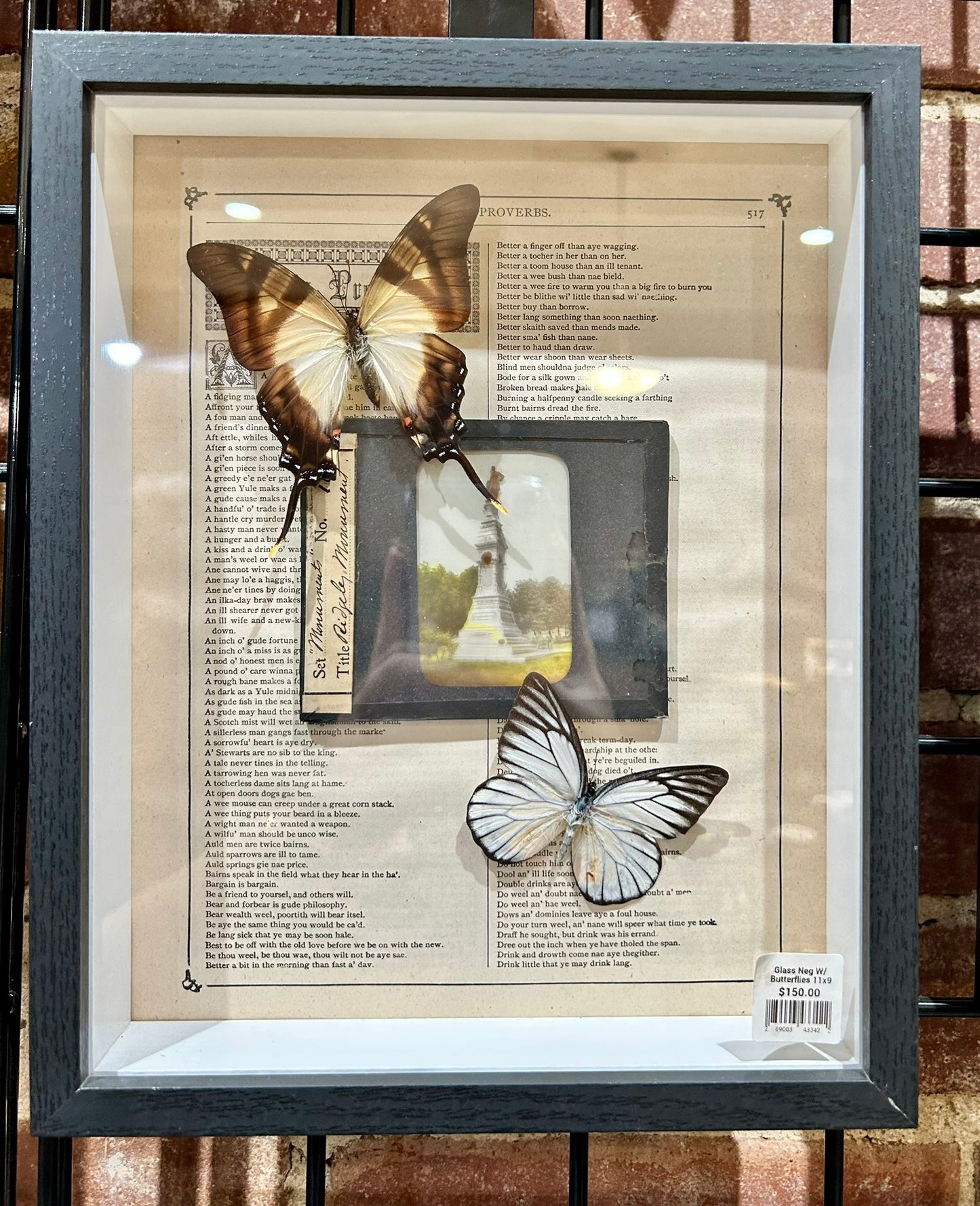 Framed Glass Negatives