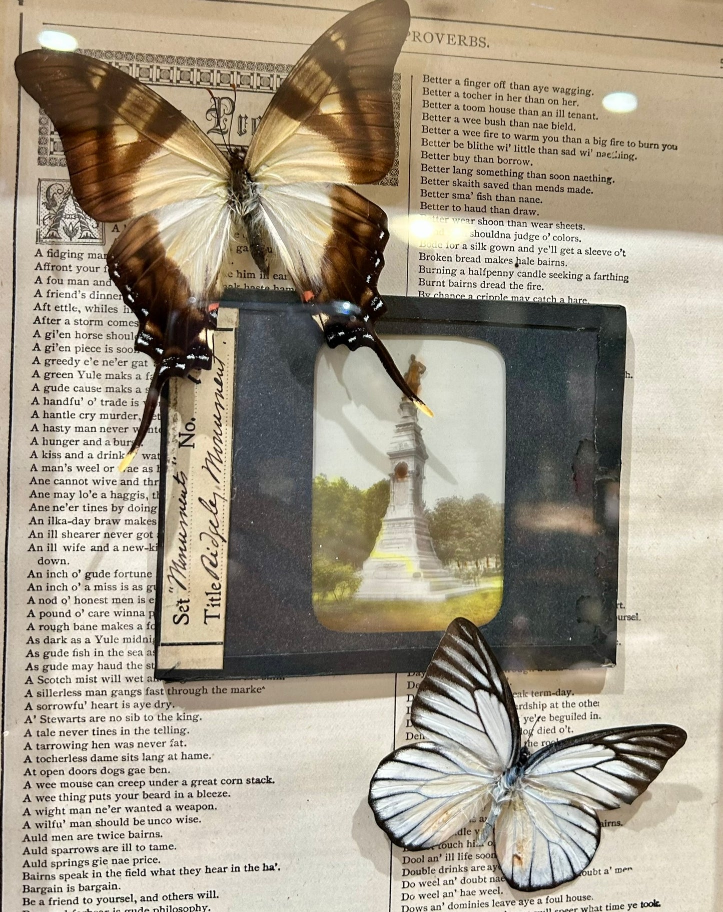 Framed Glass Negatives