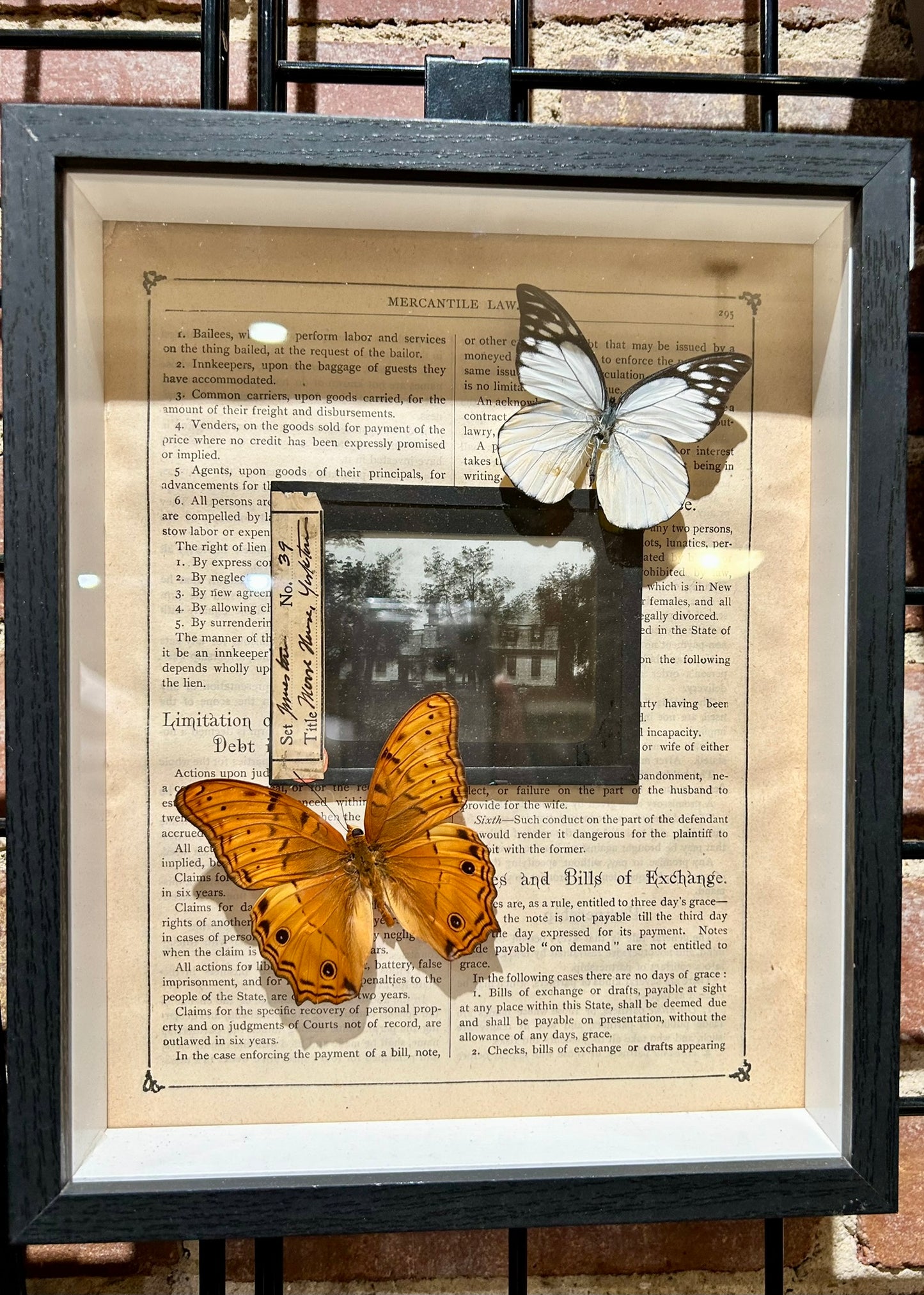 Framed Glass Negatives