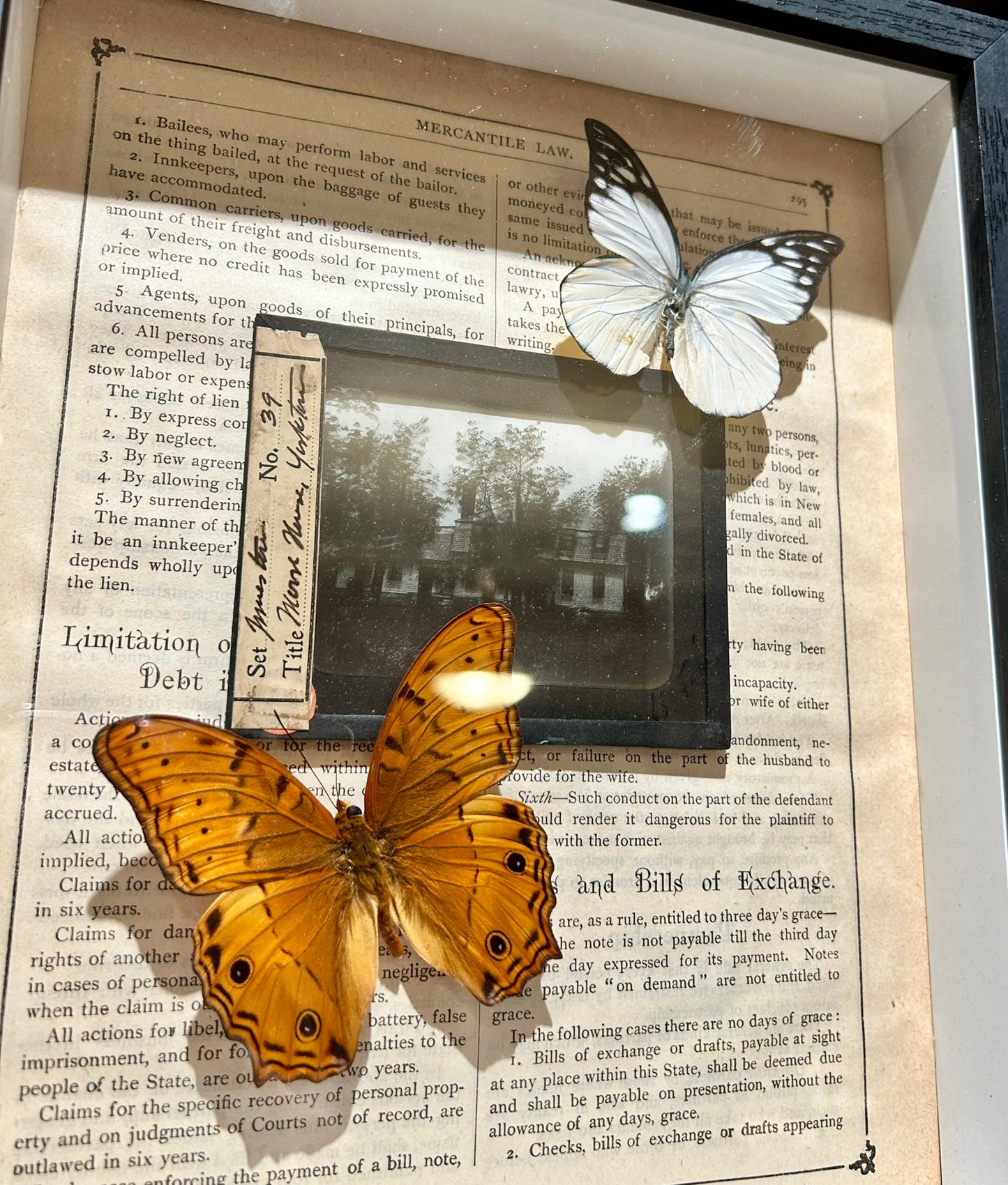 Framed Glass Negatives