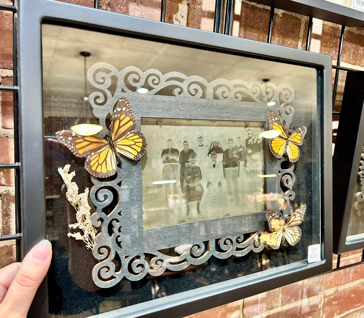 Framed Glass Negatives